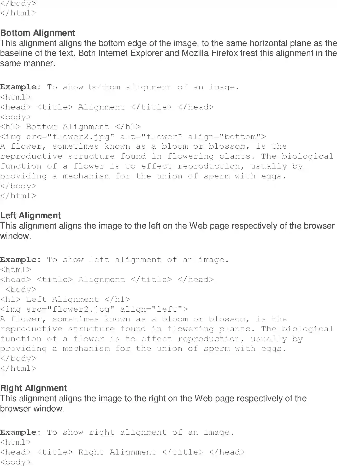 NCERT-Solution-Class-10-Foundation-of-Information-Technology-Inserting-Images-and-Links-in-HTML-3124-page-9