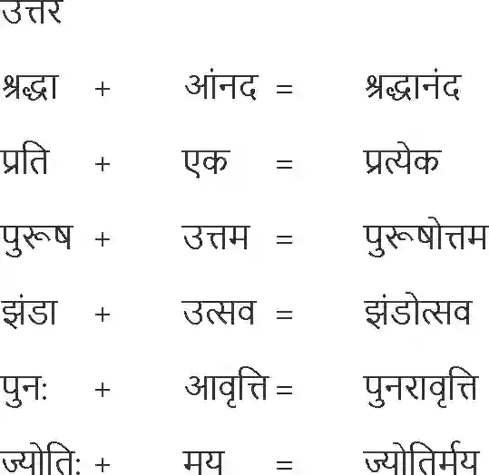 NCERT-Solution-Class-10-Hindi-Diary-Ka-Ek-Panna-872-page-6