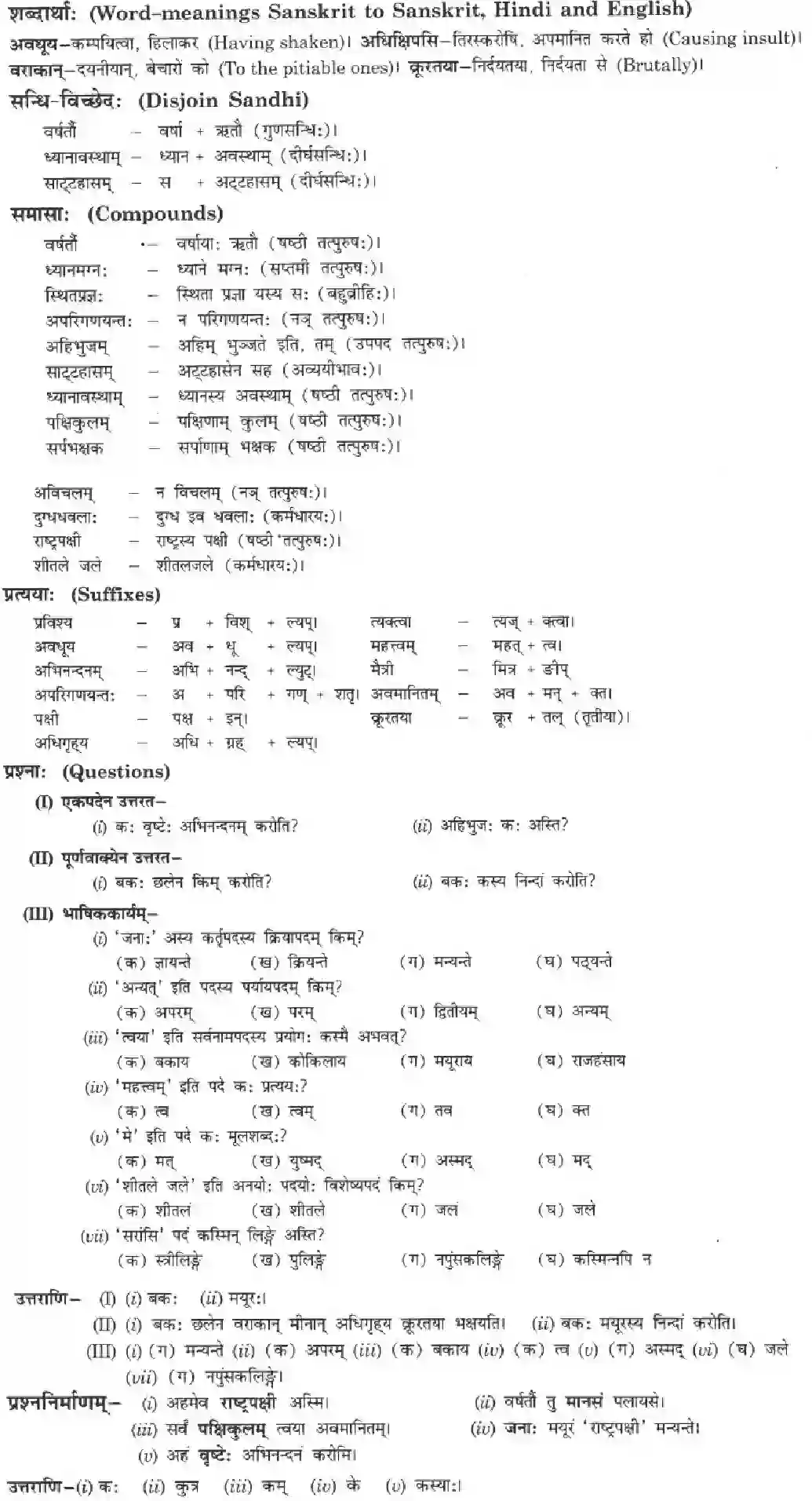 NCERT-Solution-Class-10-Manika-Ramaniya-Ki-Srusti-Aisha-3082-page-6