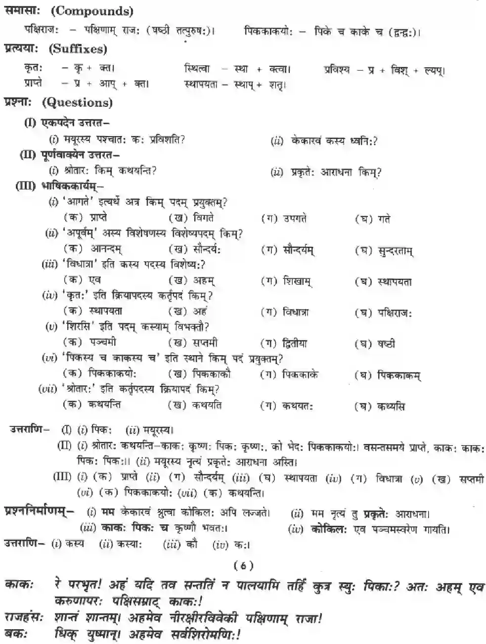 NCERT-Solution-Class-10-Manika-Ramaniya-Ki-Srusti-Aisha-3082-page-8