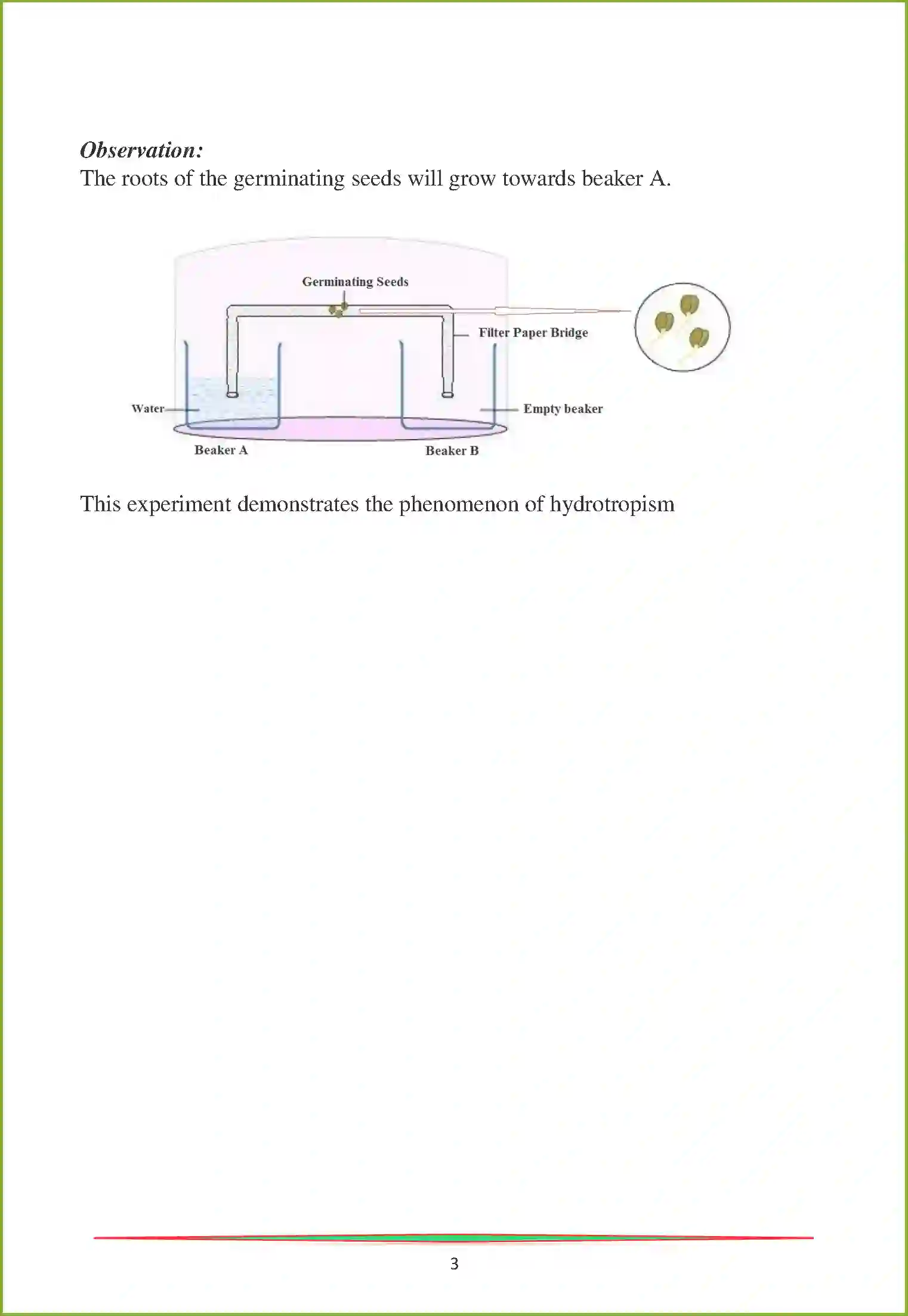 NCERT-Solution-Class-10-Science-Control-and-Coordination-2997-page-12