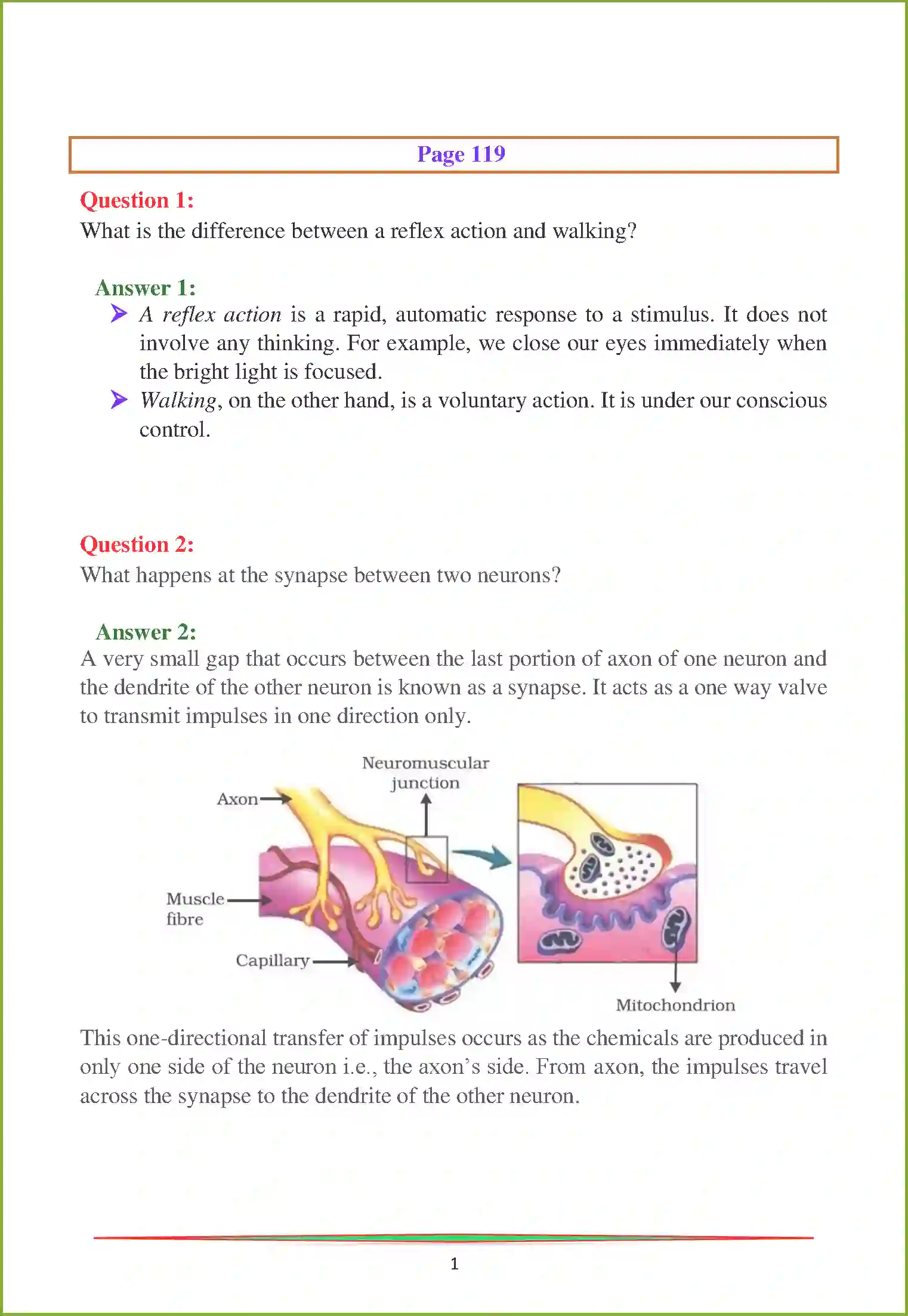NCERT-Solution-Class-10-Science-Control-and-Coordination-2997-page-7