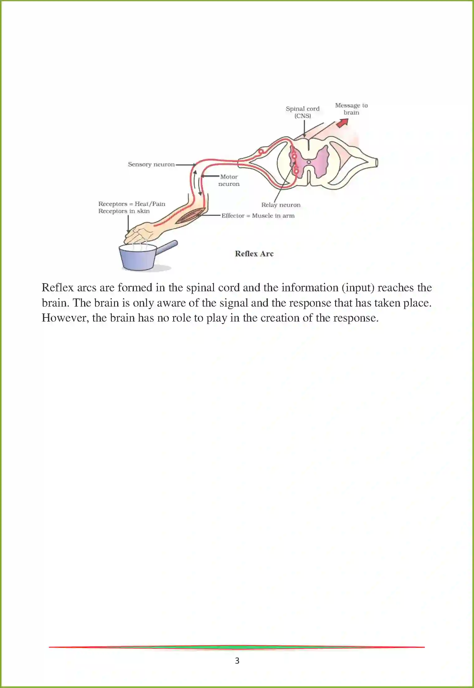 NCERT-Solution-Class-10-Science-Control-and-Coordination-2997-page-9