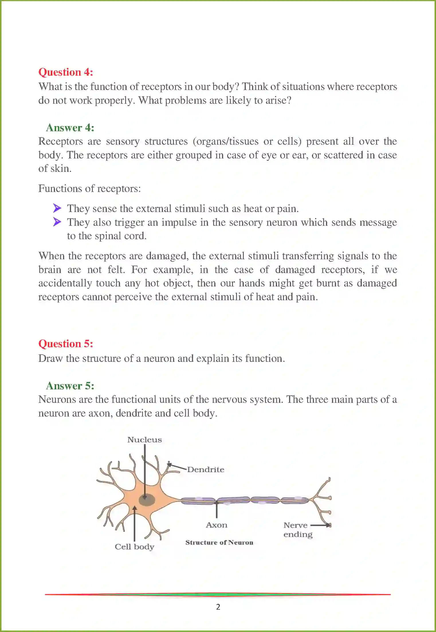 NCERT-Solution-Class-10-Science-Control-and-Coordination-825-page-2