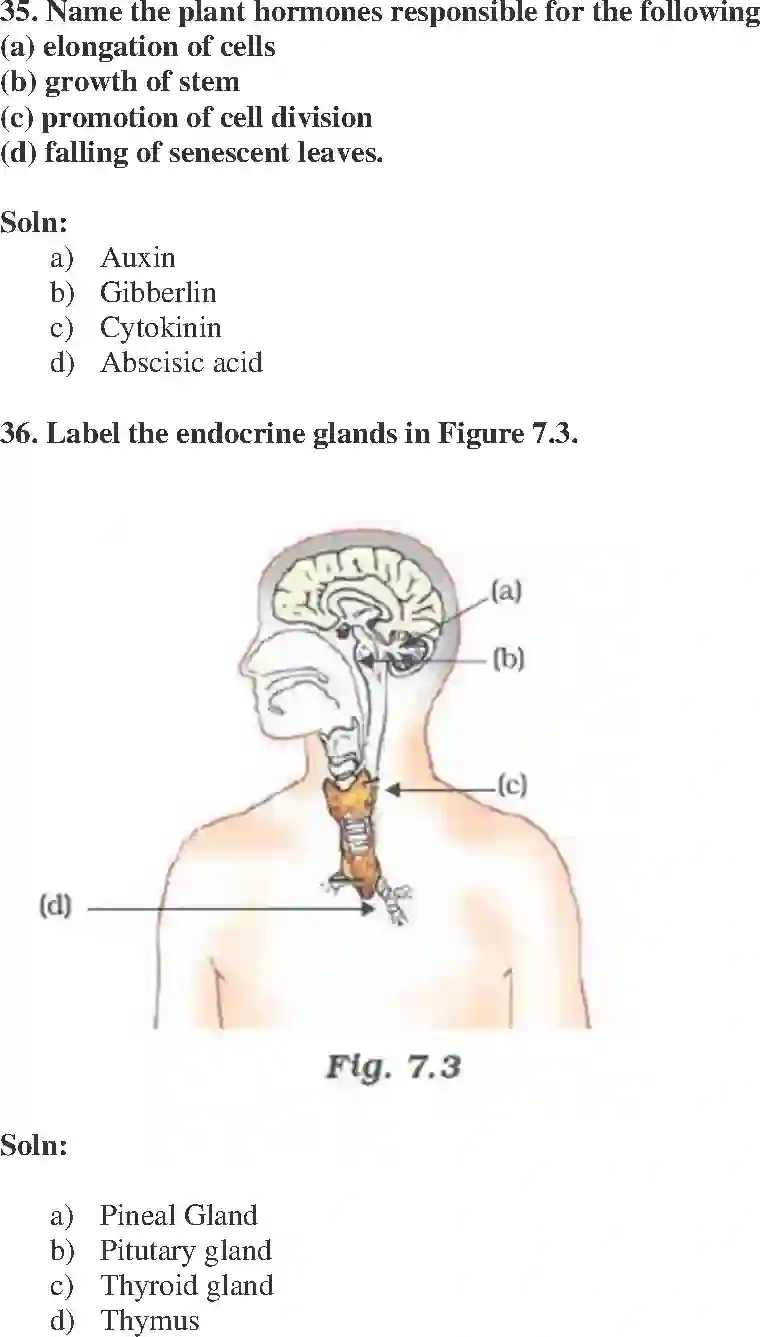 NCERT-Solution-Class-10-Science-Exemplar-Control-and-Coordination-981-page-13