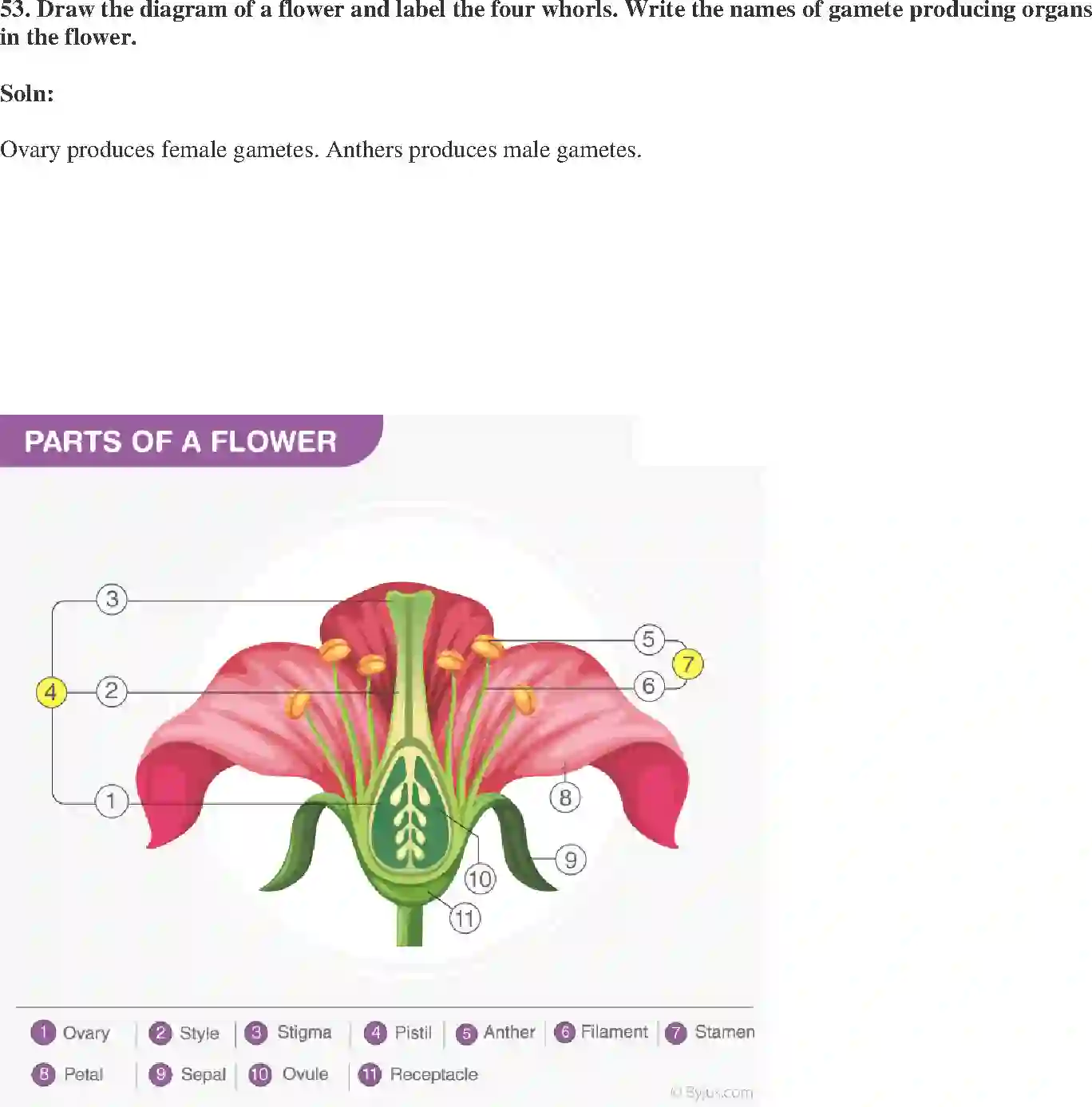 NCERT-Solution-Class-10-Science-Exemplar-How-Do-Organisms-Reproduce-3154-page-18