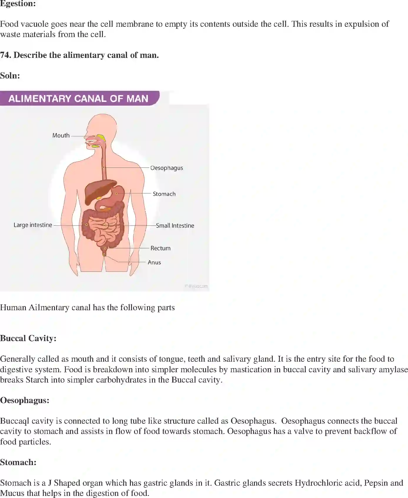 NCERT-Solution-Class-10-Science-Exemplar-Life-Processes-3152-page-22