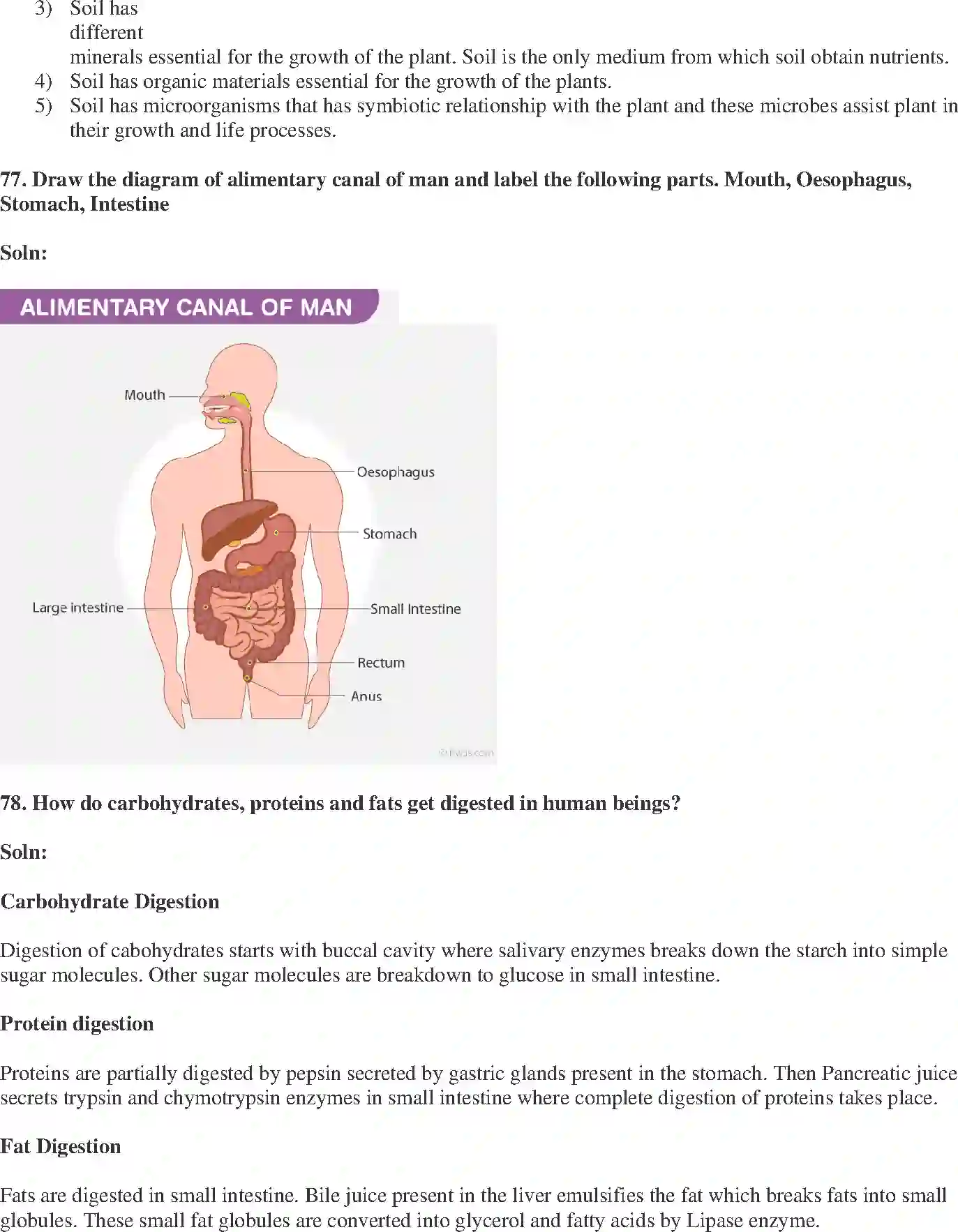 NCERT-Solution-Class-10-Science-Exemplar-Life-Processes-3152-page-24