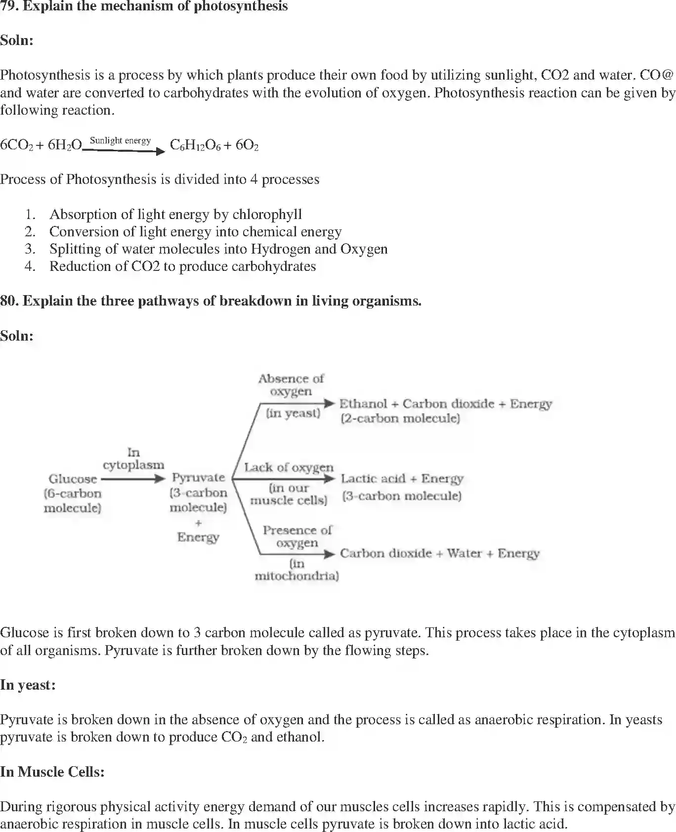 NCERT-Solution-Class-10-Science-Exemplar-Life-Processes-3152-page-25