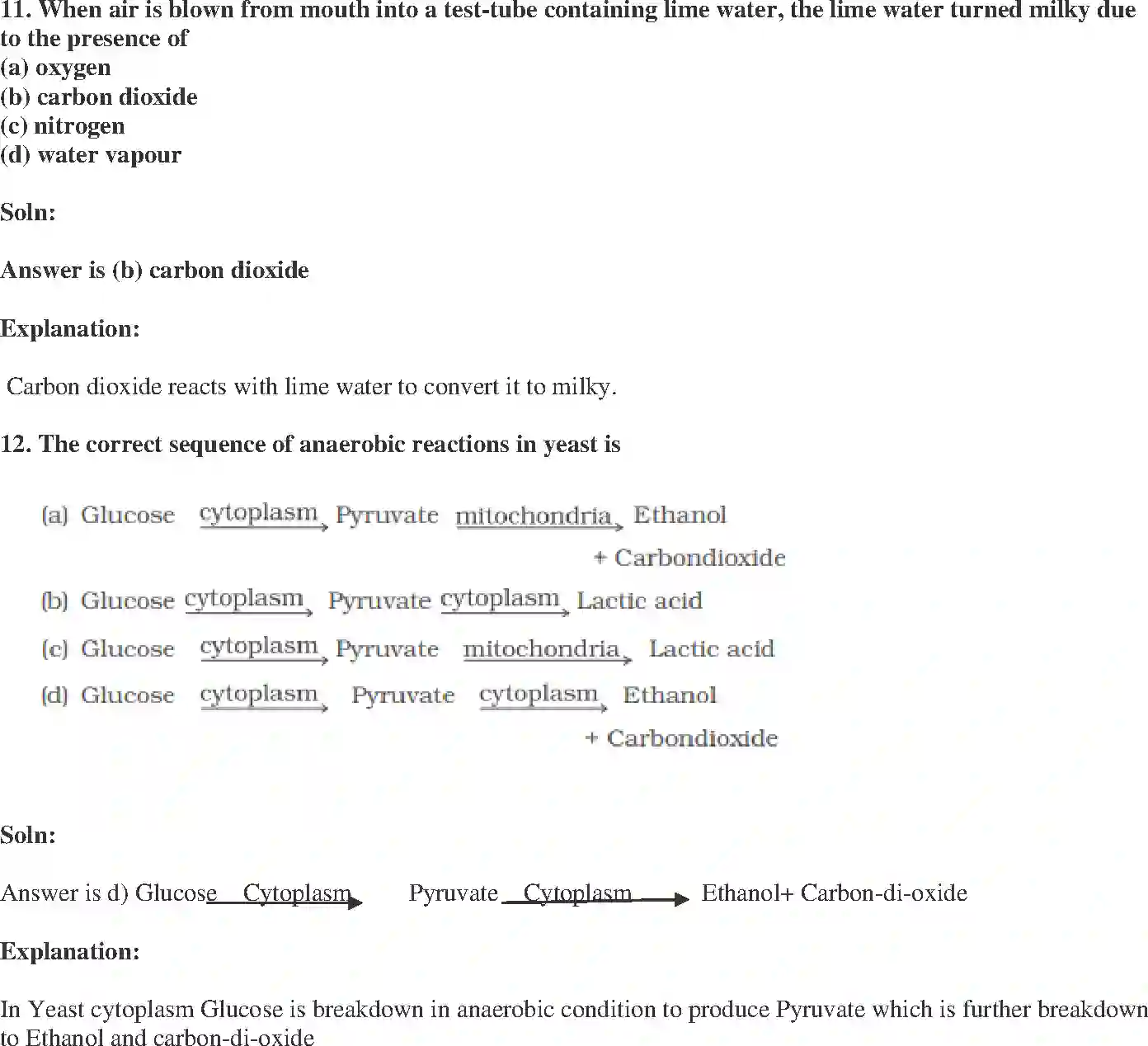 NCERT-Solution-Class-10-Science-Exemplar-Life-Processes-3152-page-4