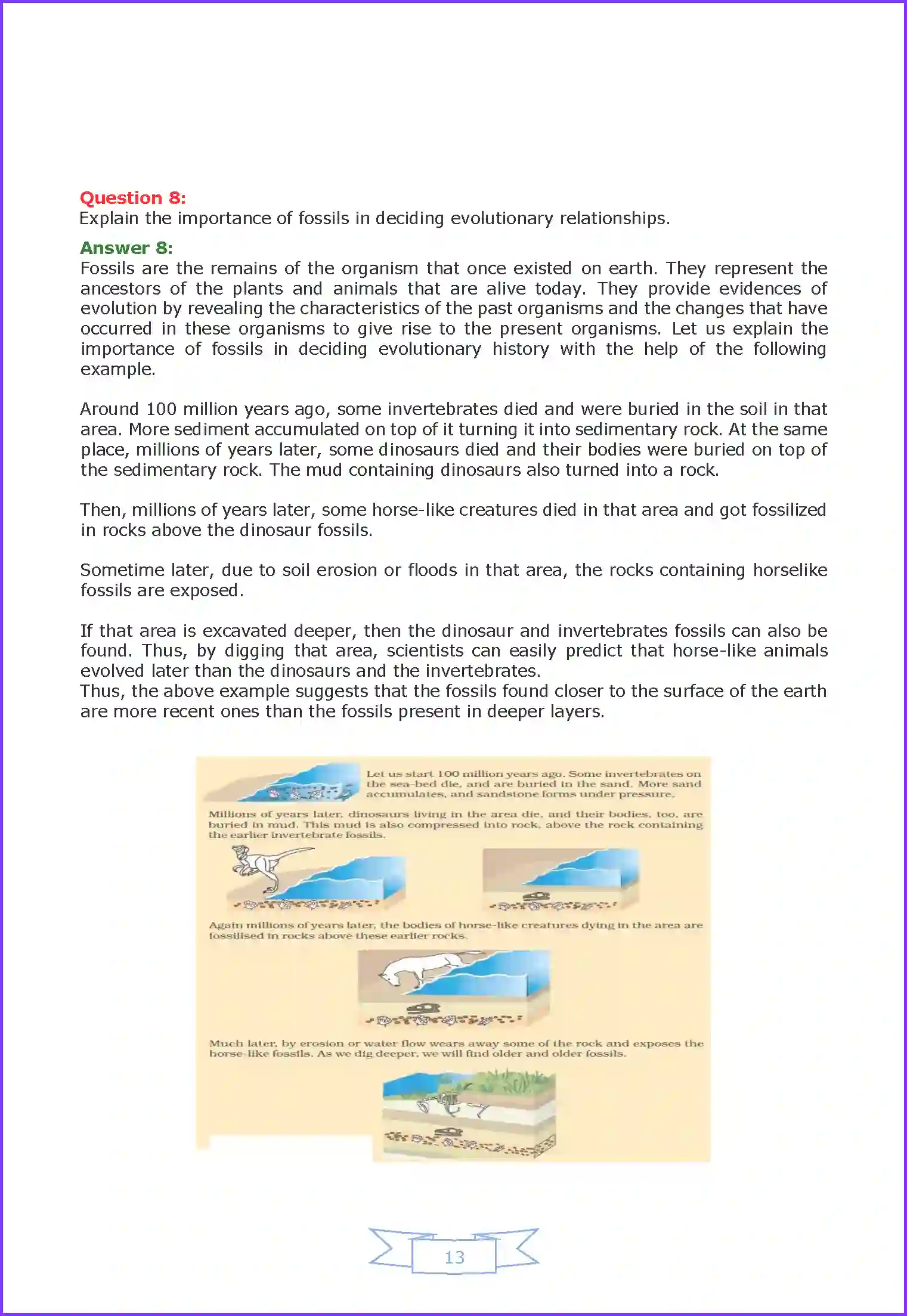 NCERT-Solution-Class-10-Science-Heredity-and-Evolution-827-page-13
