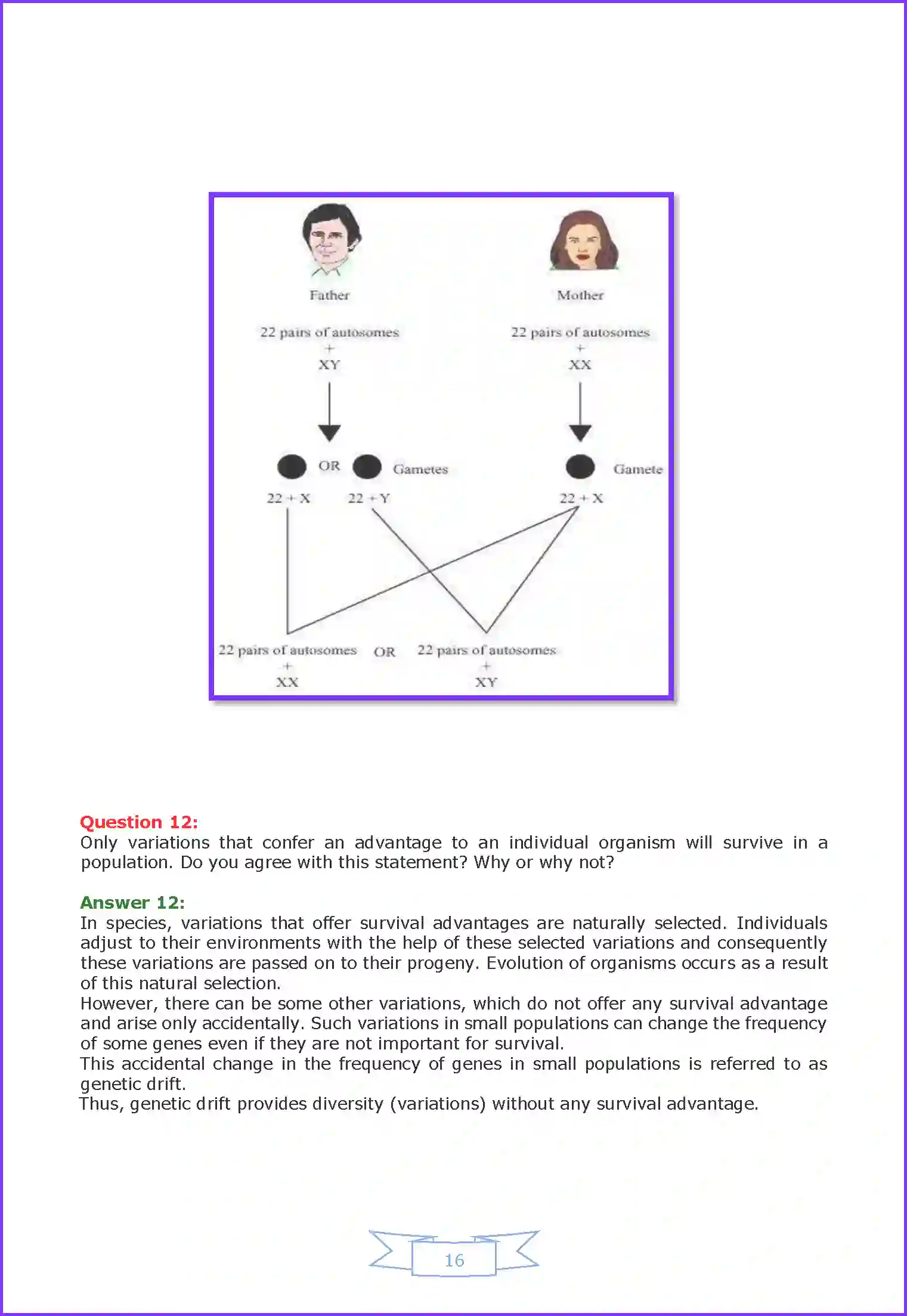 NCERT-Solution-Class-10-Science-Heredity-and-Evolution-827-page-16