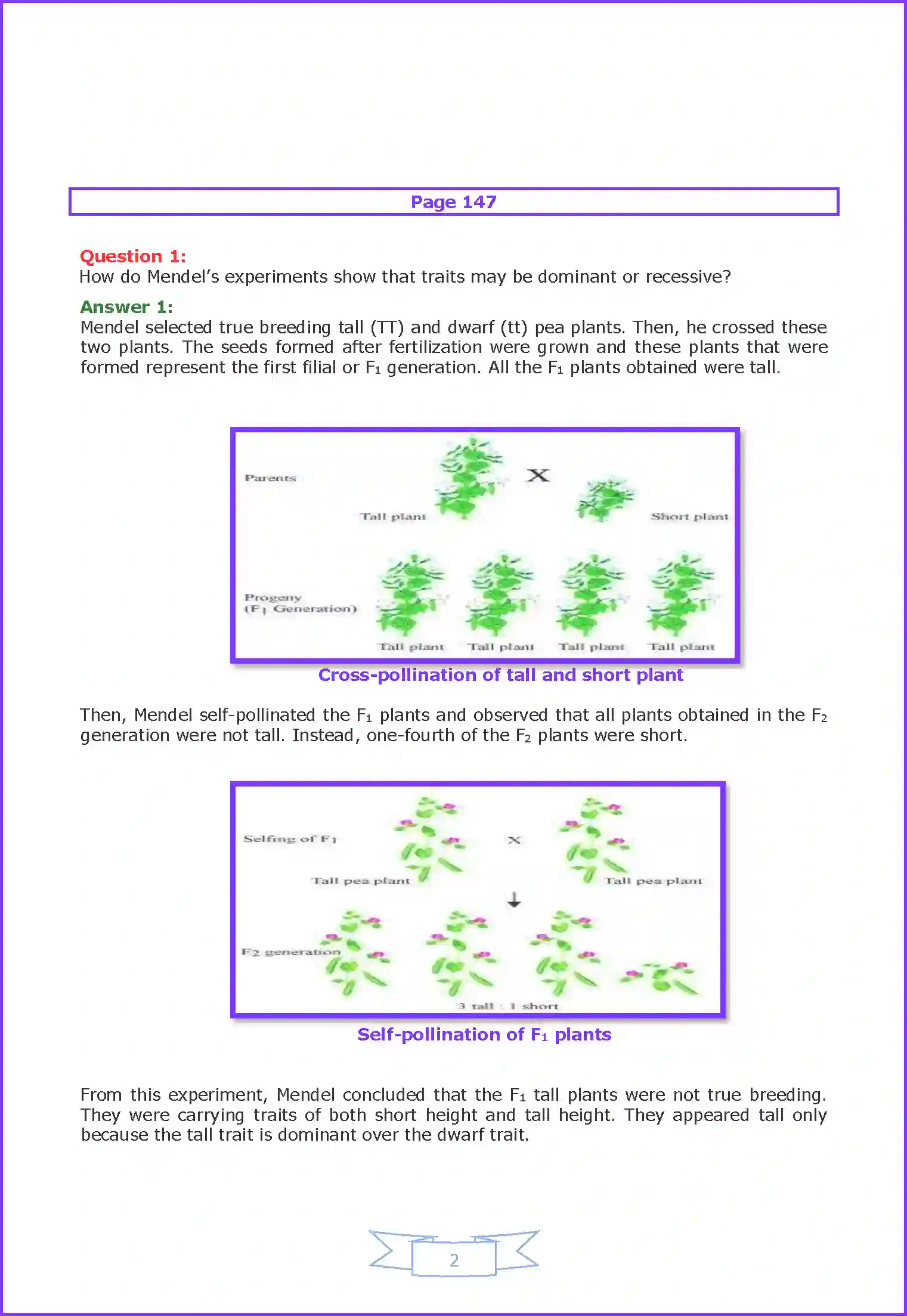NCERT-Solution-Class-10-Science-Heredity-and-Evolution-827-page-2