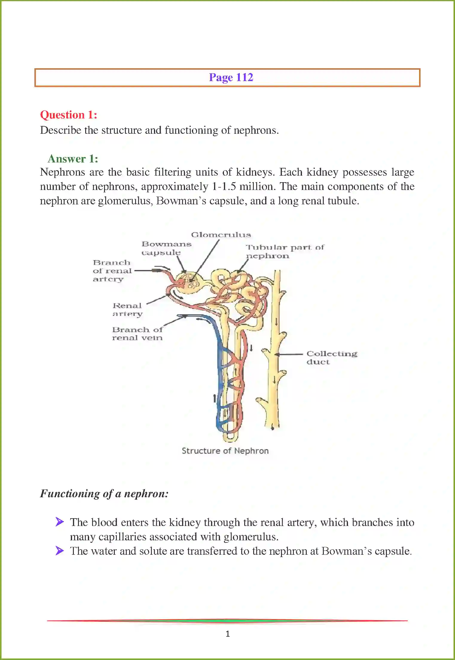 NCERT-Solution-Class-10-Science-Life-Processes-2996-page-16