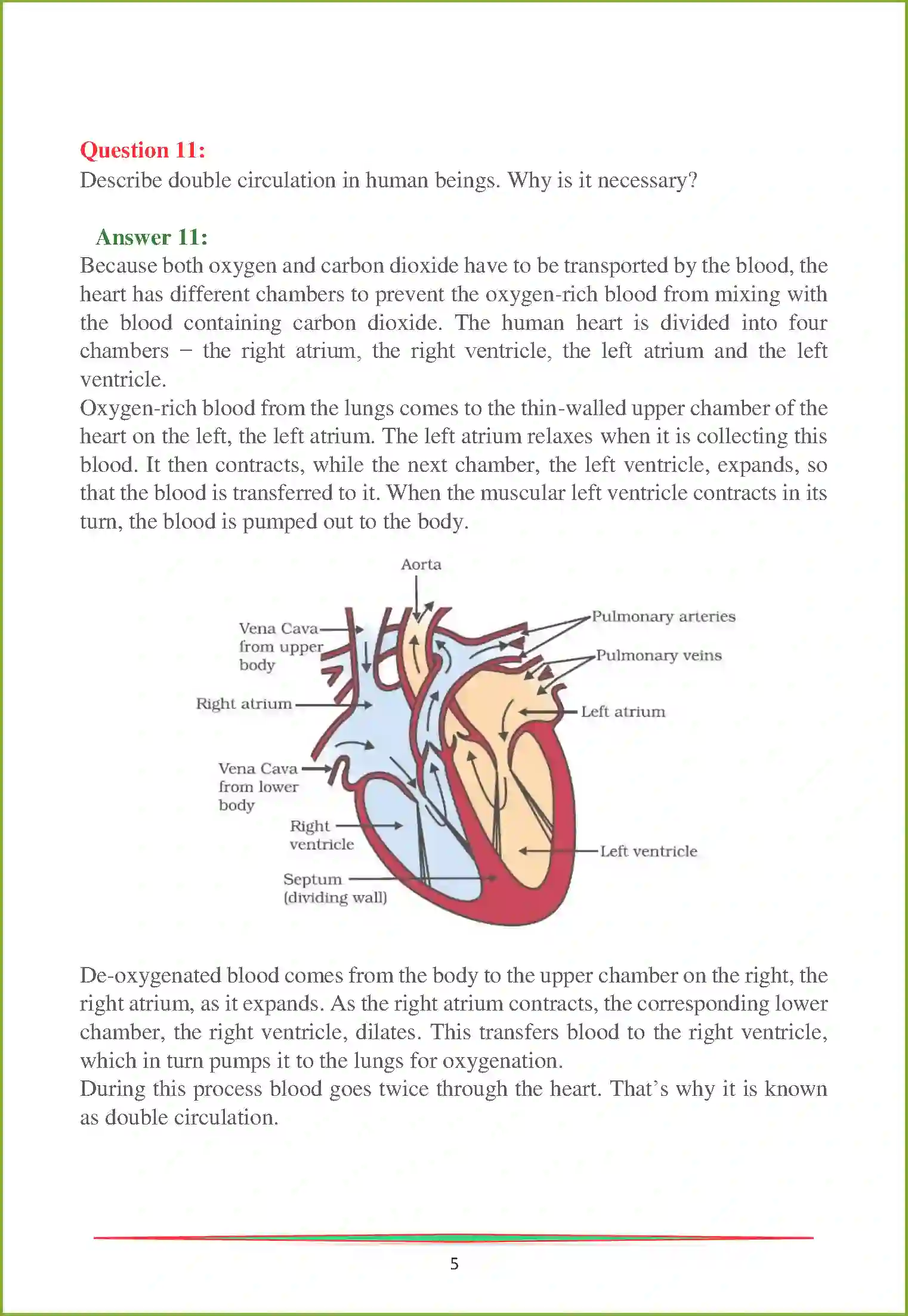 NCERT-Solution-Class-10-Science-Life-Processes-2996-page-5