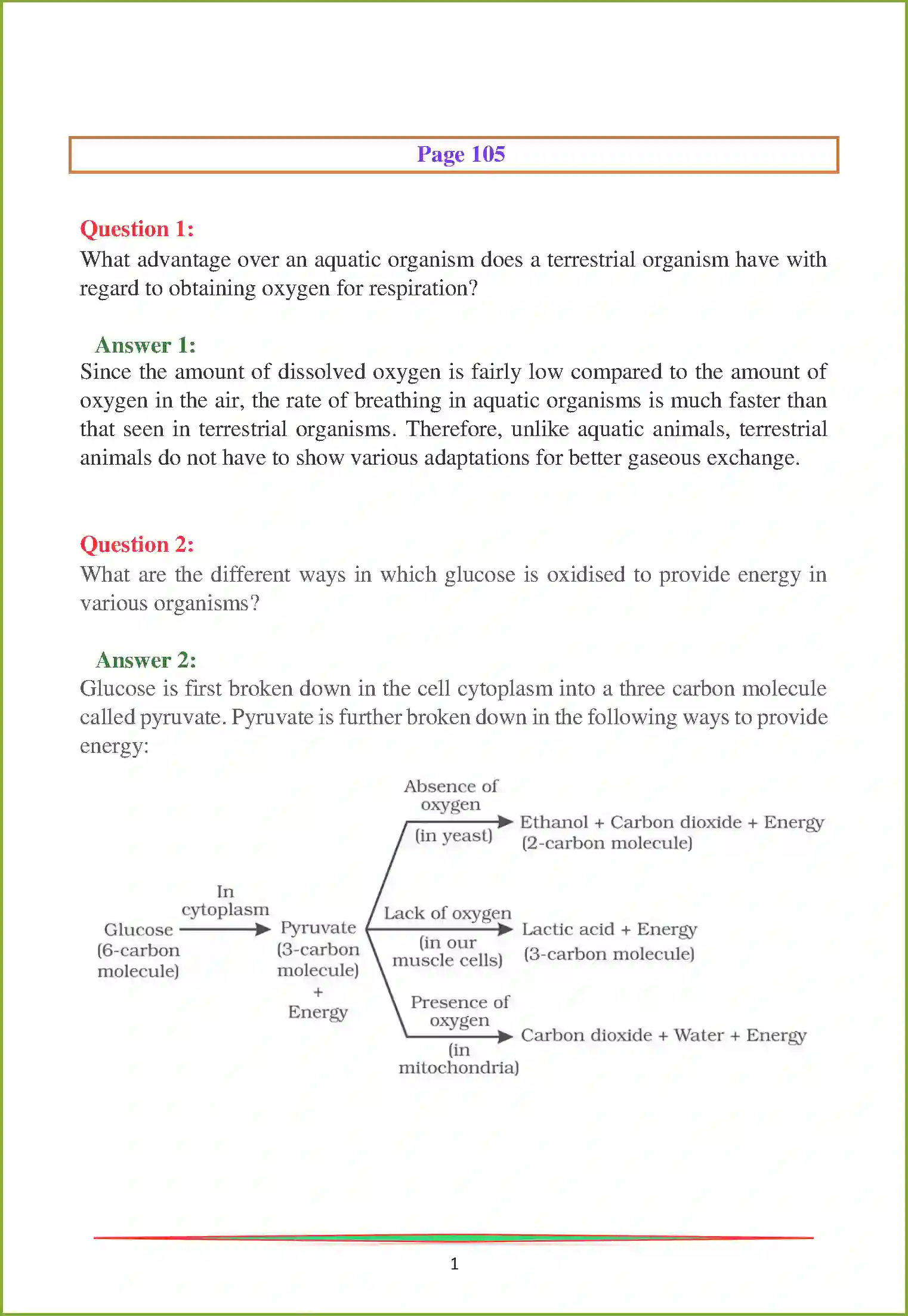 NCERT-Solution-Class-10-Science-Life-Processes-824-page-12
