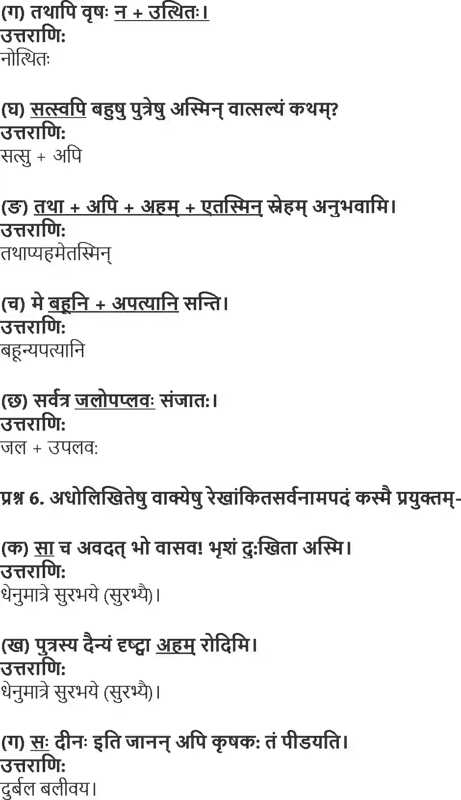 NCERT-Solution-Class-10-Shemushi-Janani-Tulyavatsala-1006-page-4