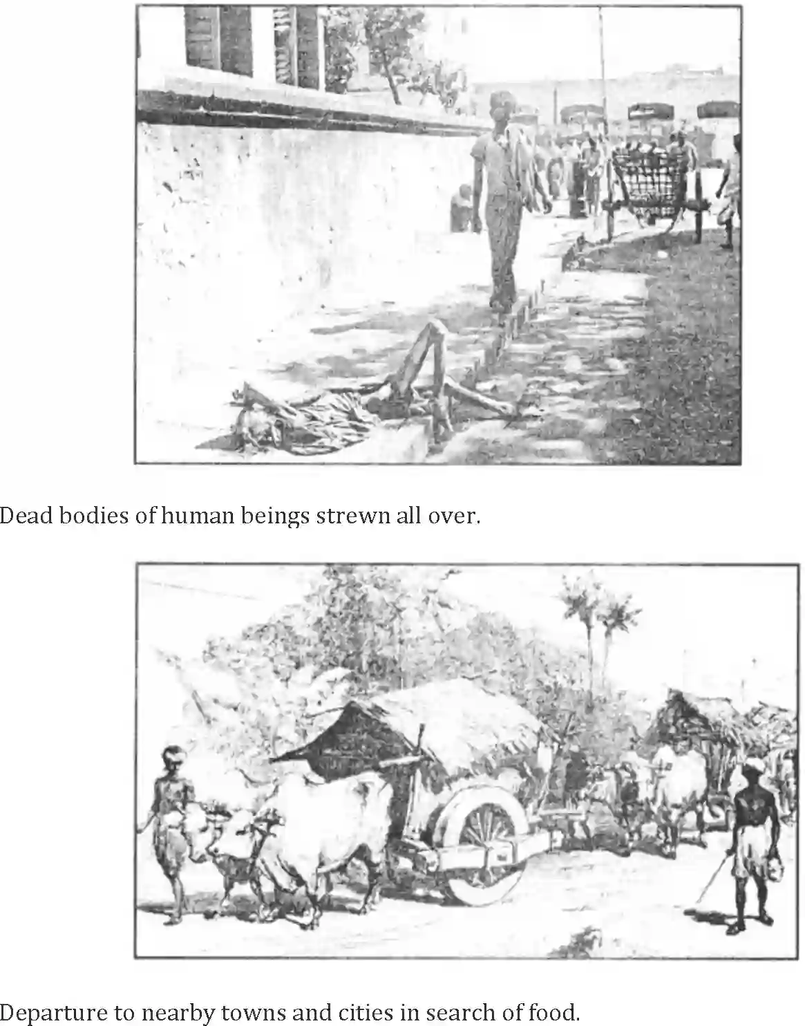 NCERT-Solution-Class-10-Words-and-Expressions-Unit-4-From-the-Diary-of-Anne-Frank-3166-page-13