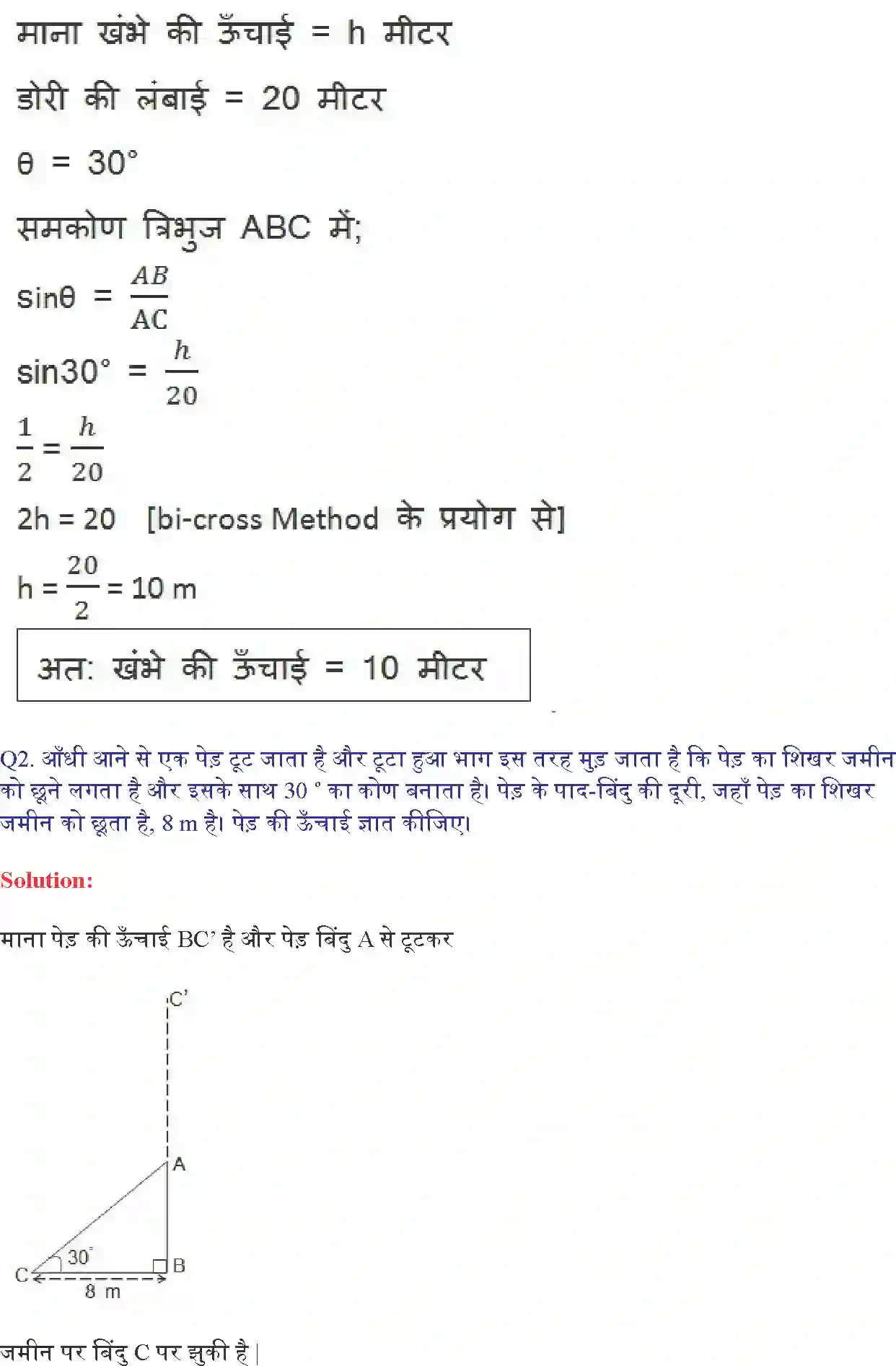NCERT-Solution-Class-10-गणित-त्रिकोणमिति-के-कुछ-अनुप्रयोग-4750-page-2
