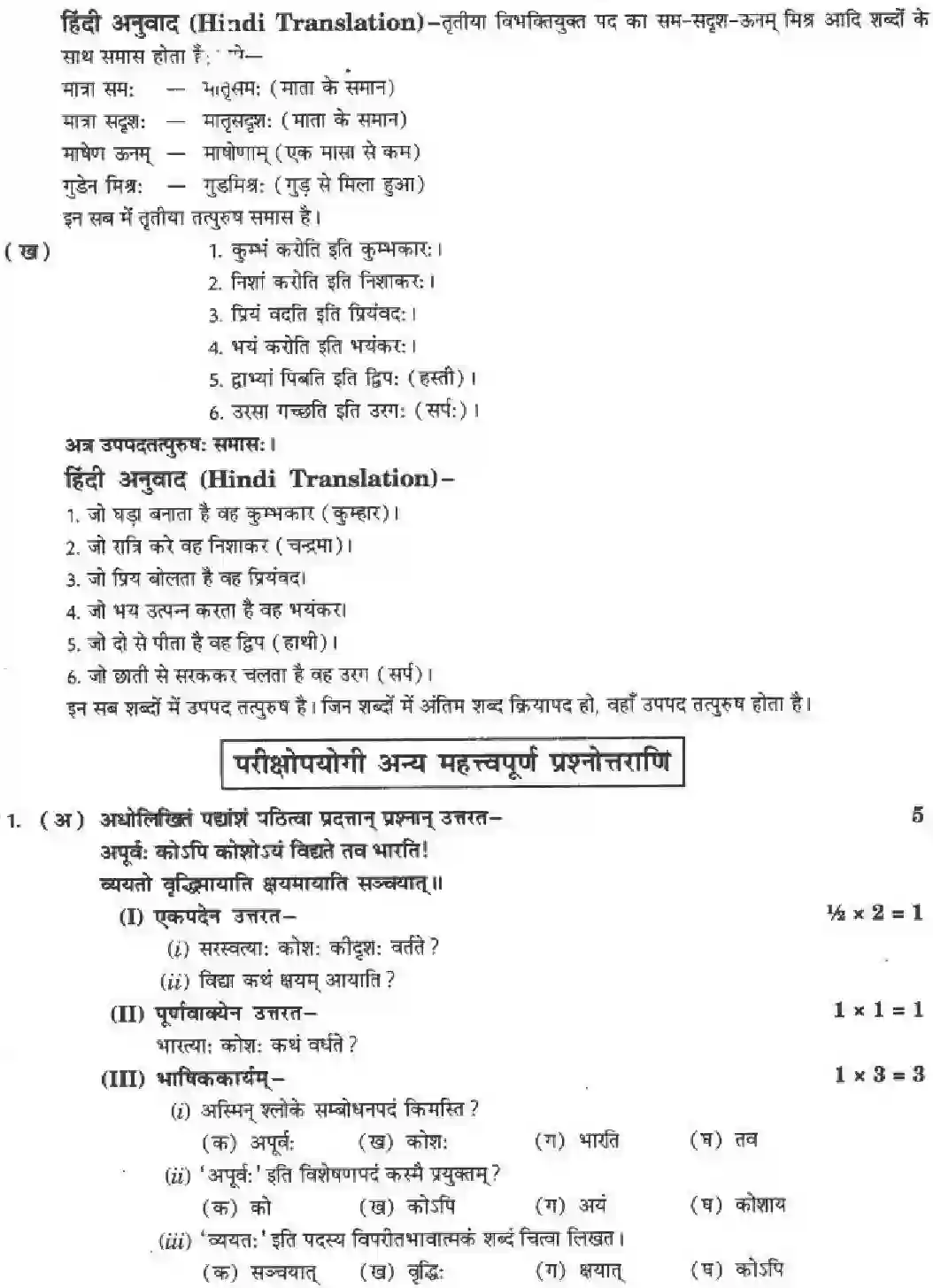 NCERT-Solution-Class-10-मनिका-वाड्मयं-तपः-4838-page-17
