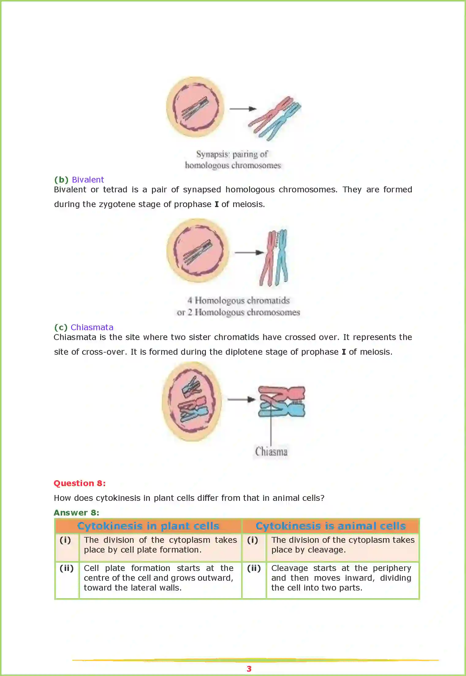 NCERT-Solution-Class-11-Biology-Chapter-10-Cell-Cycle-and-Cell-Division-448-page-3