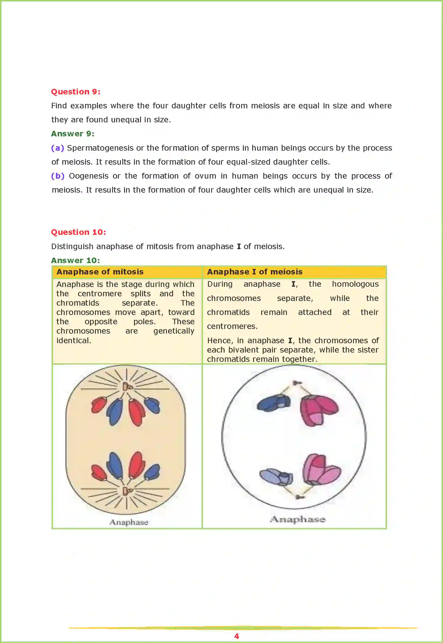 NCERT-Solution-Class-11-Biology-Chapter-10-Cell-Cycle-and-Cell-Division-448-page-4