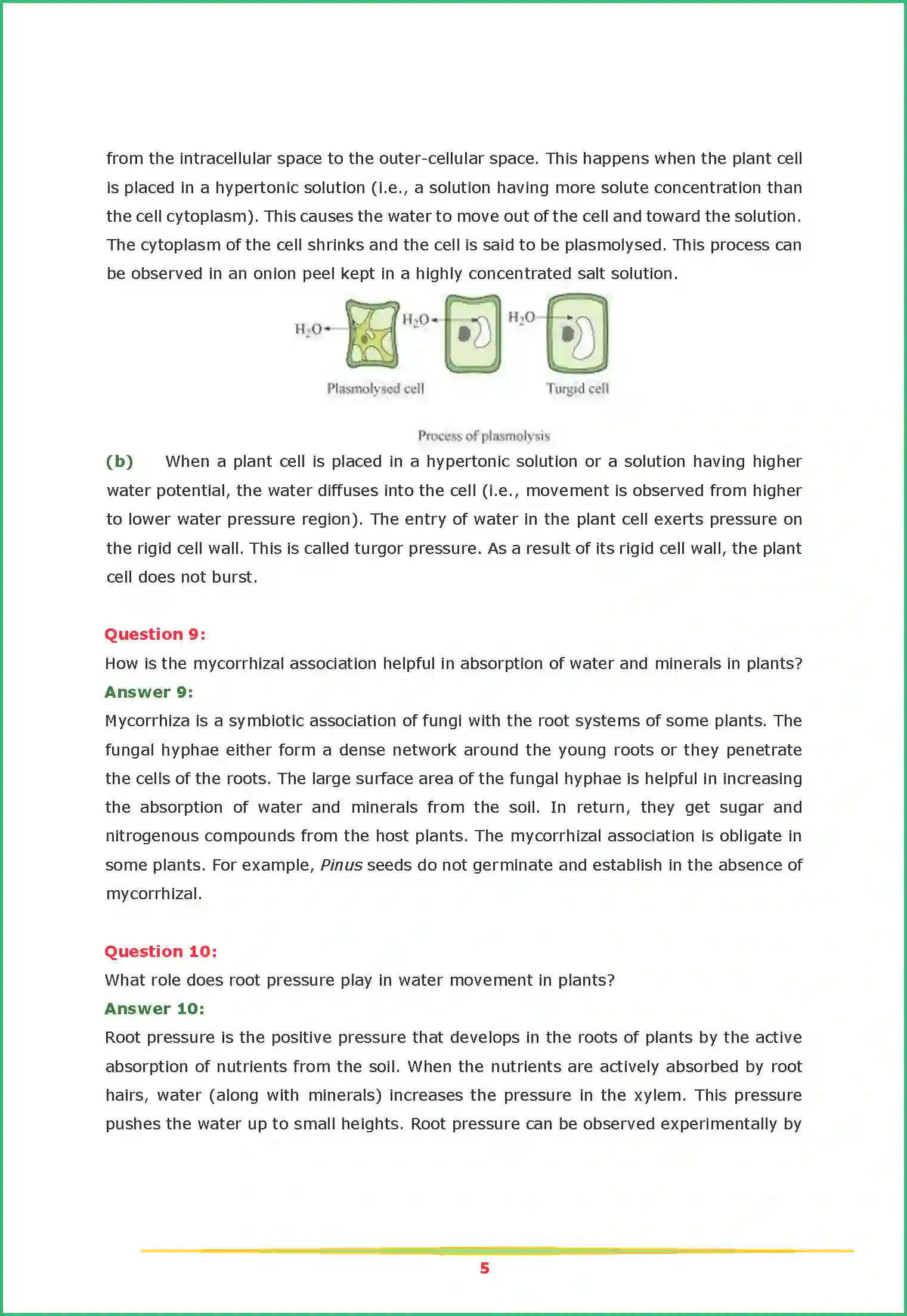 NCERT-Solution-Class-11-Biology-Chapter-11-Transport-in-Plants-449-page-5