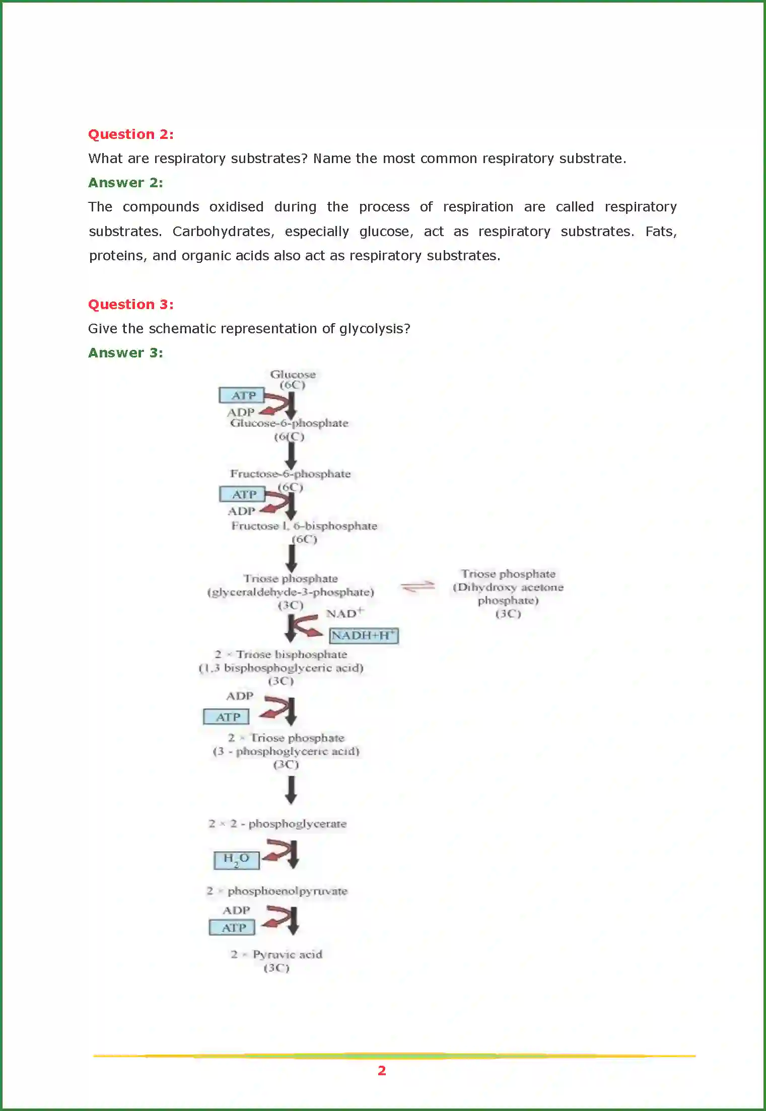 NCERT-Solution-Class-11-Biology-Chapter-14-Respiration-in-Plants-452-page-2
