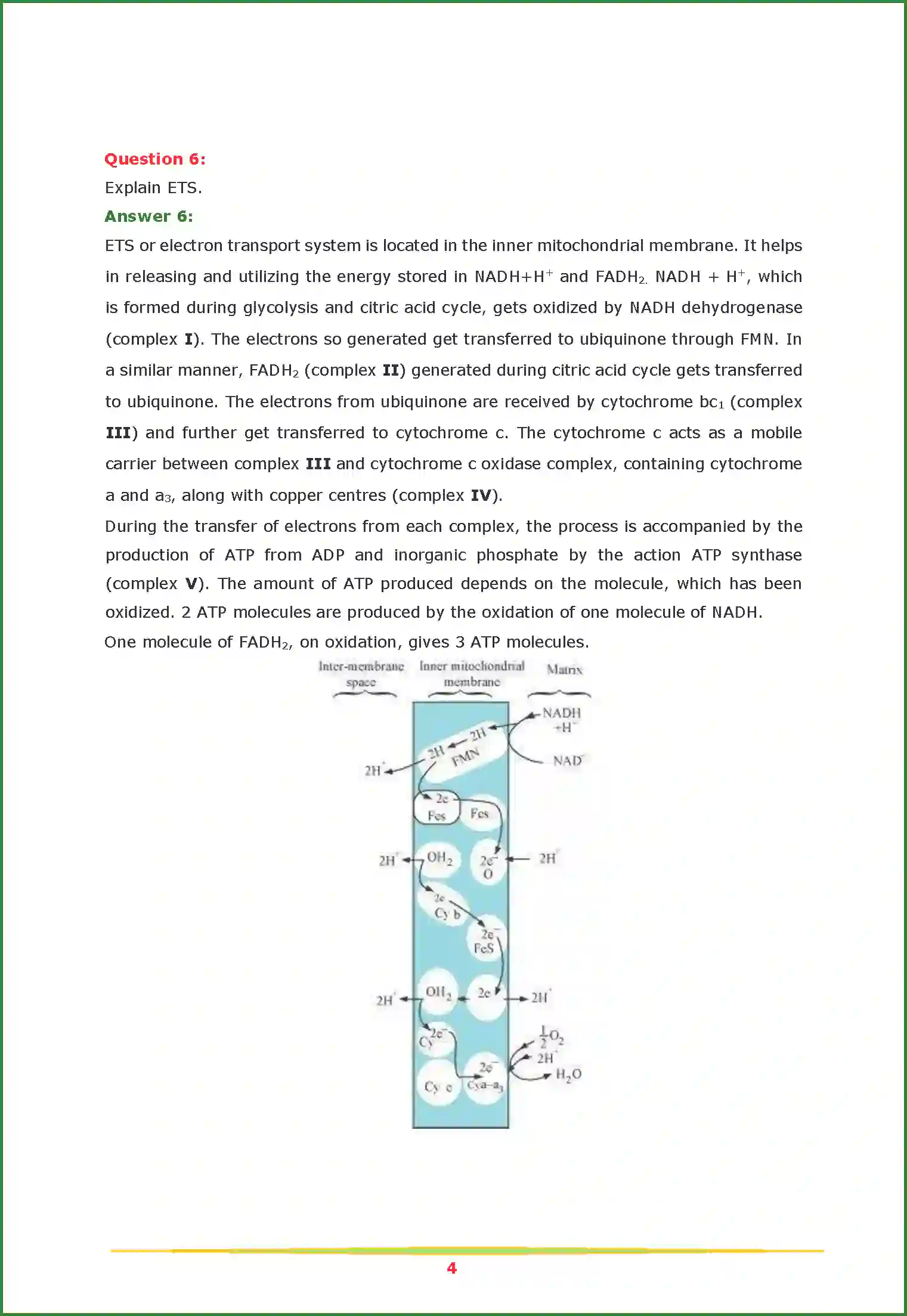 NCERT-Solution-Class-11-Biology-Chapter-14-Respiration-in-Plants-452-page-4