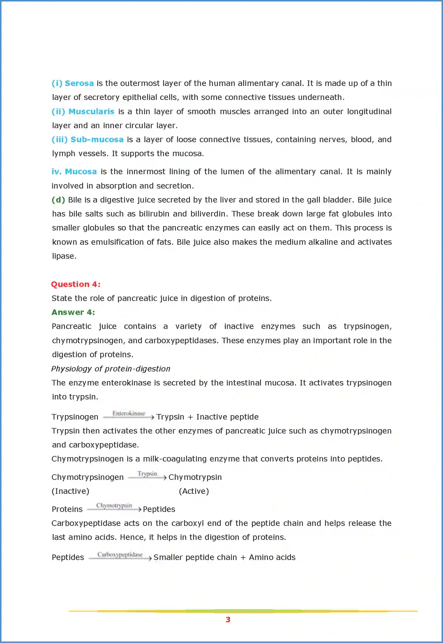 NCERT-Solution-Class-11-Biology-Chapter-16-Digestion-and-Absorption-2626-page-3
