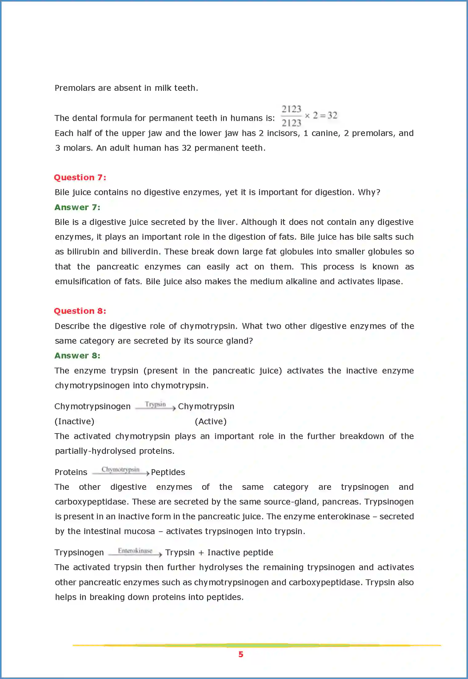 NCERT-Solution-Class-11-Biology-Chapter-16-Digestion-and-Absorption-2626-page-5