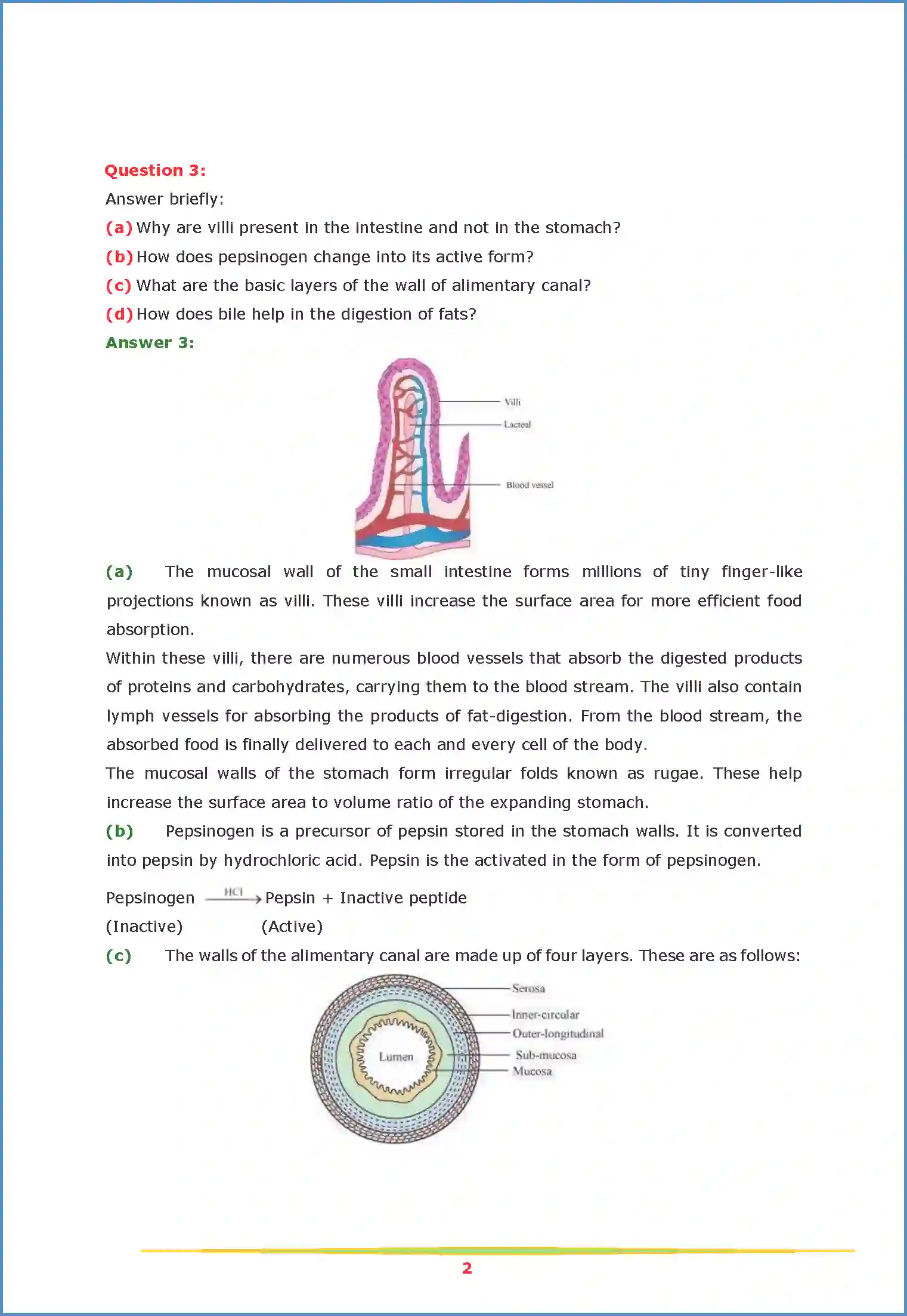 NCERT-Solution-Class-11-Biology-Chapter-16-Digestion-and-Absorption-454-page-2