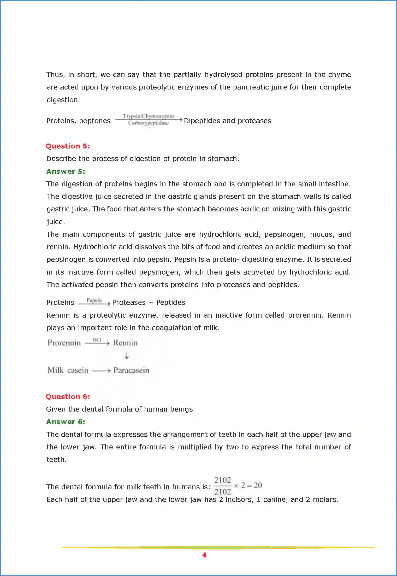 NCERT-Solution-Class-11-Biology-Chapter-16-Digestion-and-Absorption-454-page-4