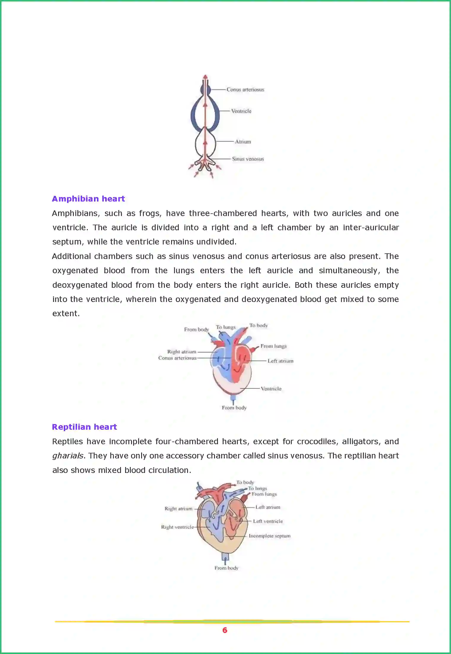 NCERT-Solution-Class-11-Biology-Chapter-18-Body-Fluids-and-Circulation-456-page-6