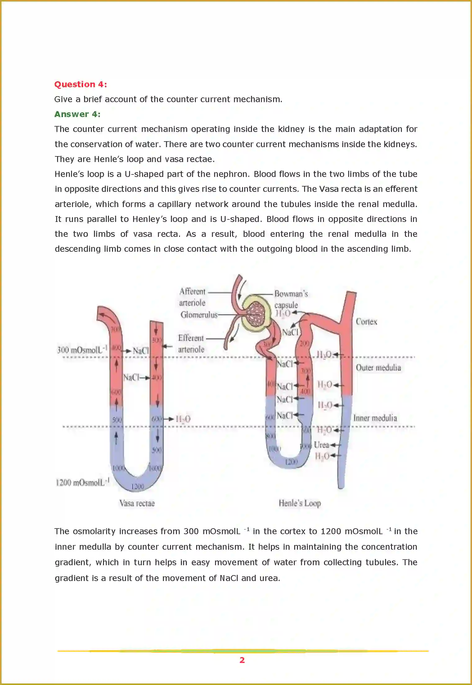NCERT-Solution-Class-11-Biology-Chapter-19-Excretory-Products-and-Their-Elimination-457-page-2