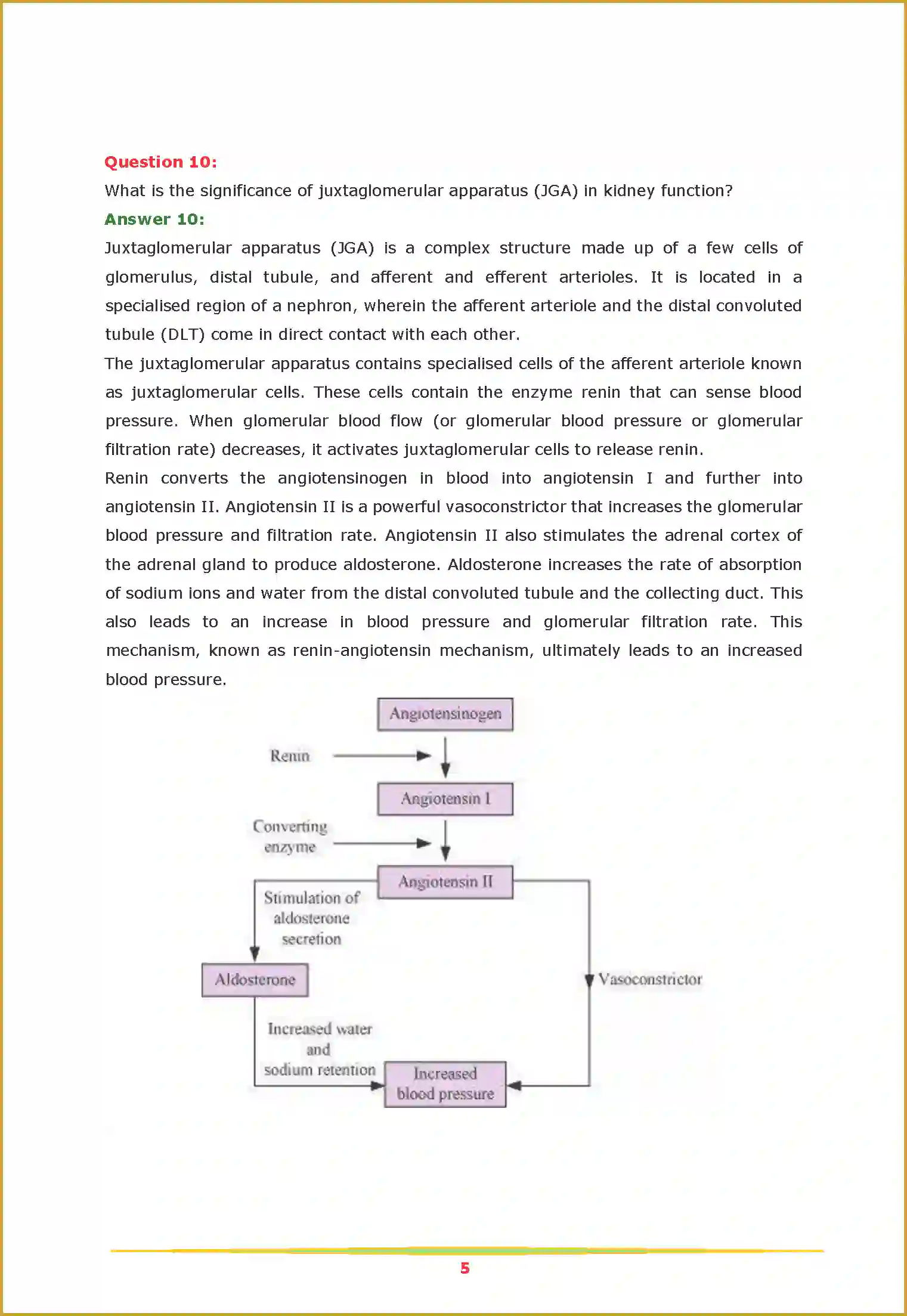 NCERT-Solution-Class-11-Biology-Chapter-19-Excretory-Products-and-Their-Elimination-457-page-5