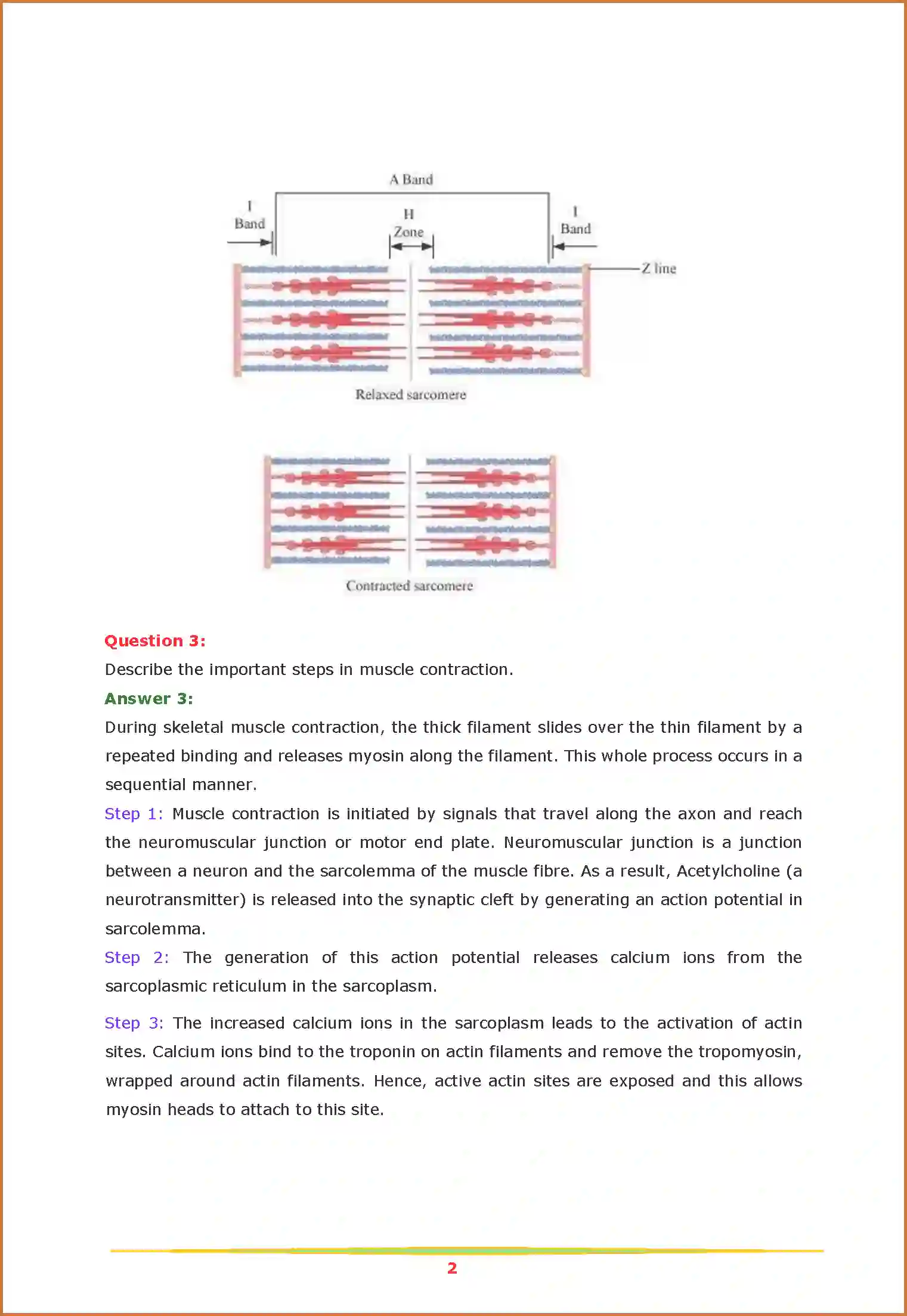 NCERT-Solution-Class-11-Biology-Chapter-20-Locomotion-and-Movement-2630-page-2