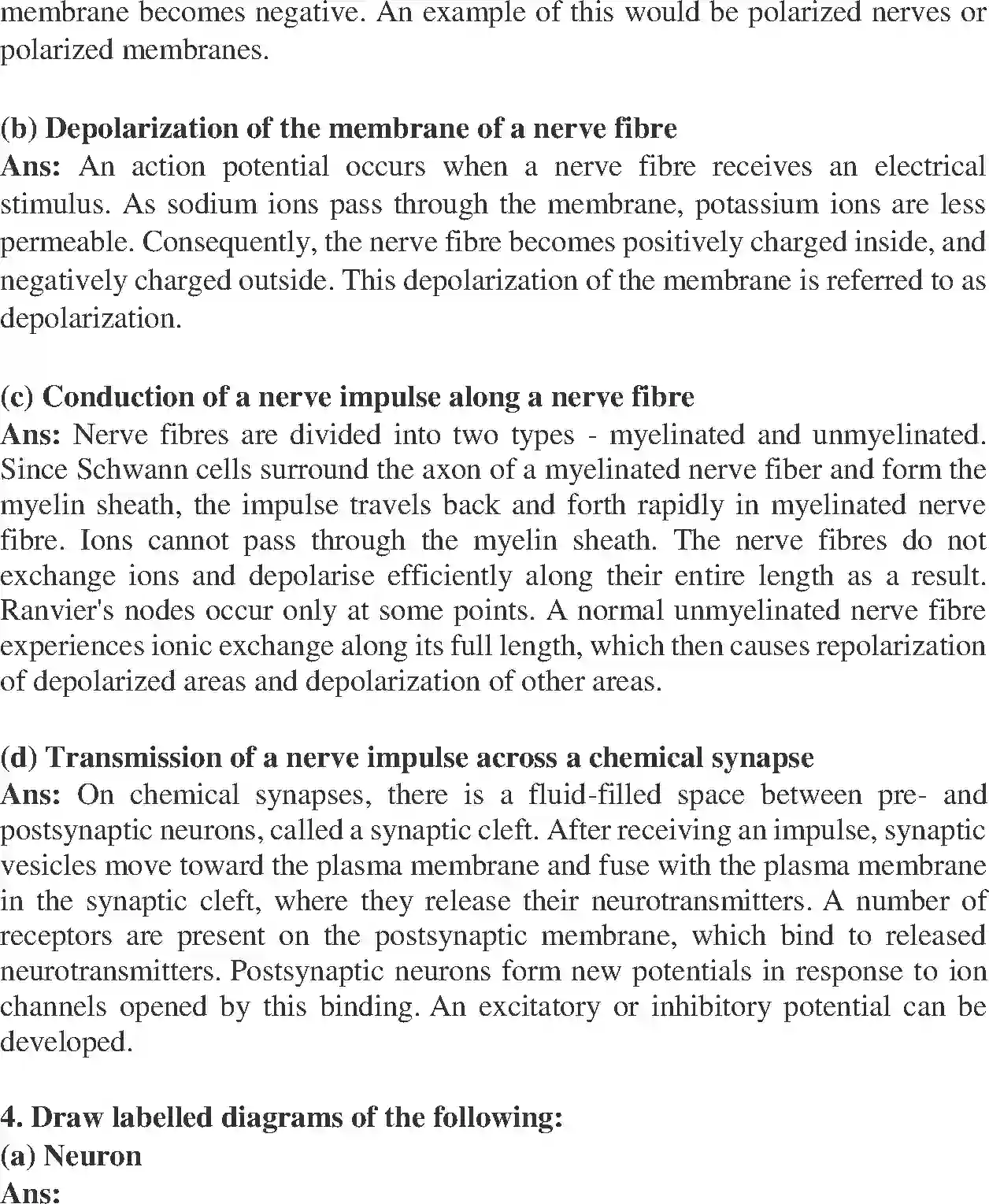 NCERT-Solution-Class-11-Biology-Chapter-21-Chemical-Coordination-and-integration-2610-page-4