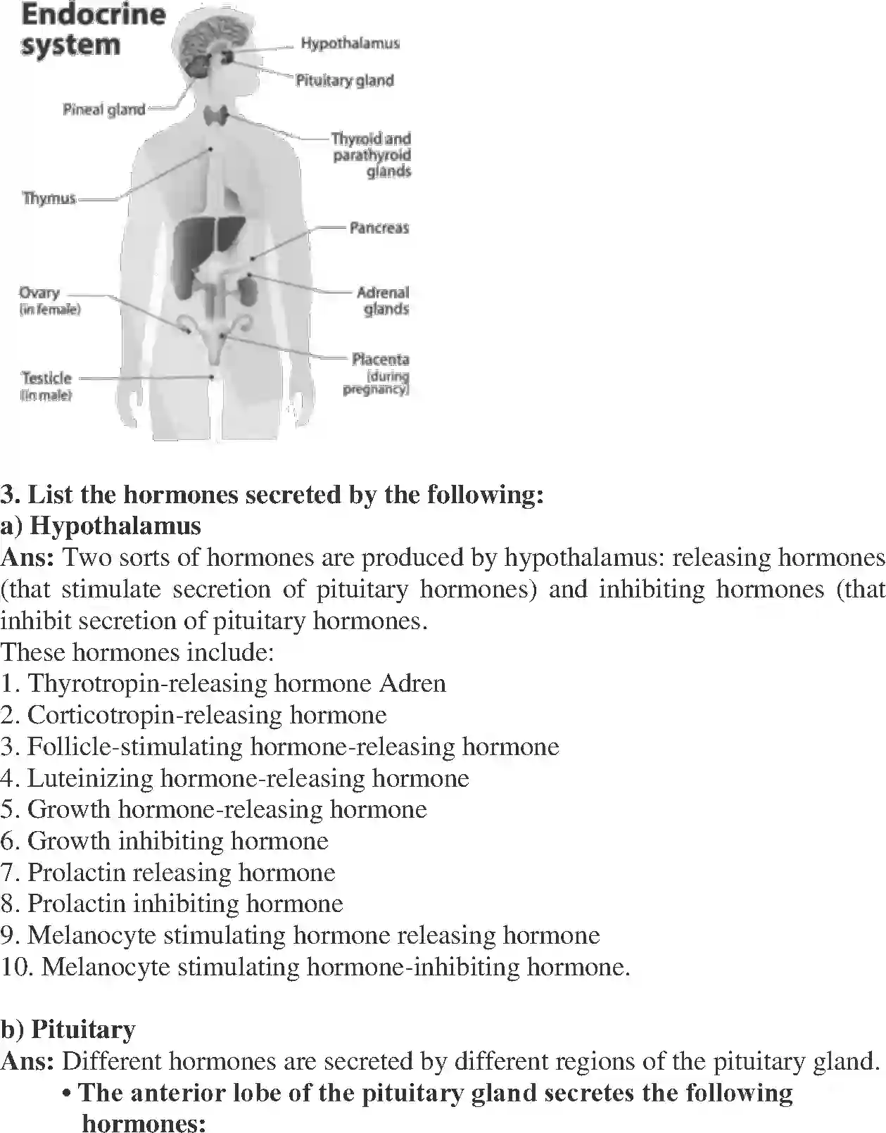 NCERT-Solution-Class-11-Biology-Chapter-22-Chemical-Coordination-and-integration-2609-page-2