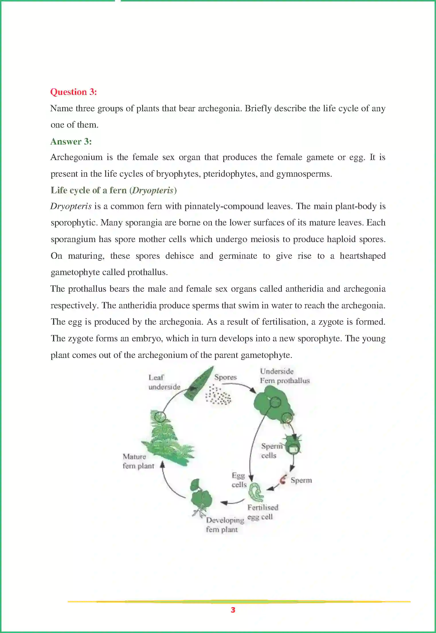 NCERT-Solution-Class-11-Biology-Chapter-3-Plant-Kingdom-441-page-3