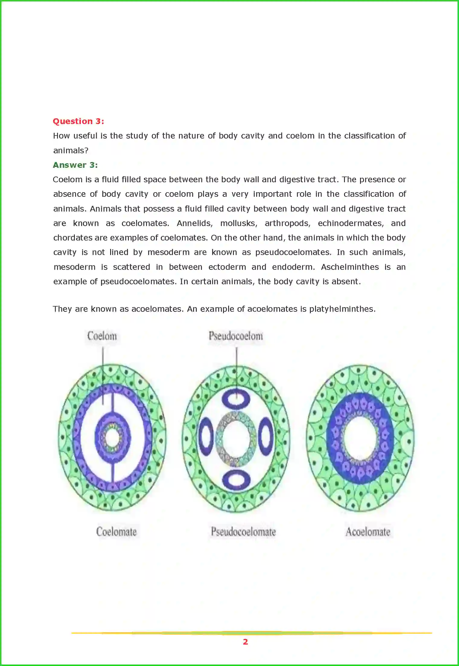 NCERT-Solution-Class-11-Biology-Chapter-4-Animal-Kingdom-2614-page-2