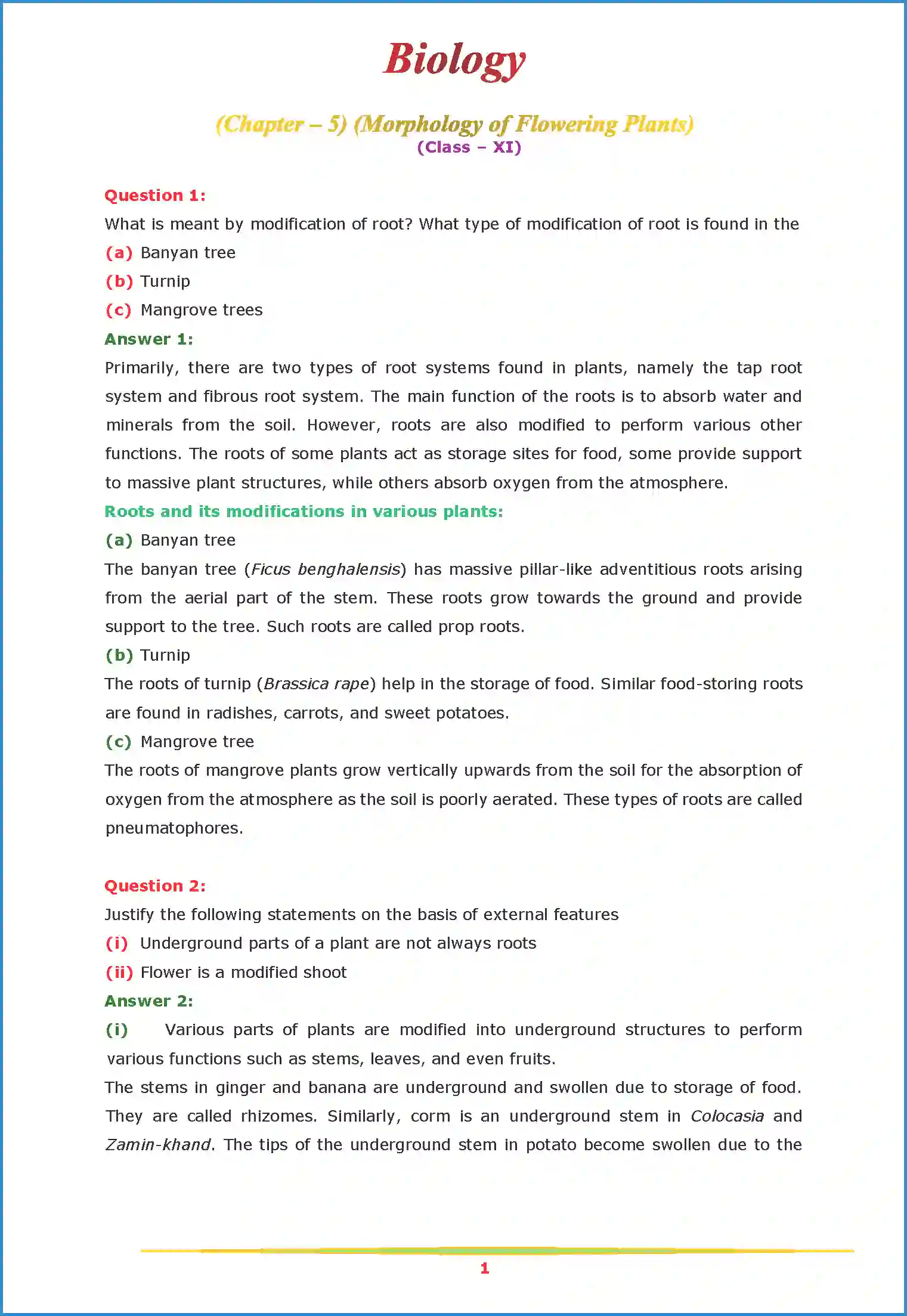 NCERT-Solution-Class-11-Biology-Chapter-5-Morphology-of-Flowering-Plants-443-page-1