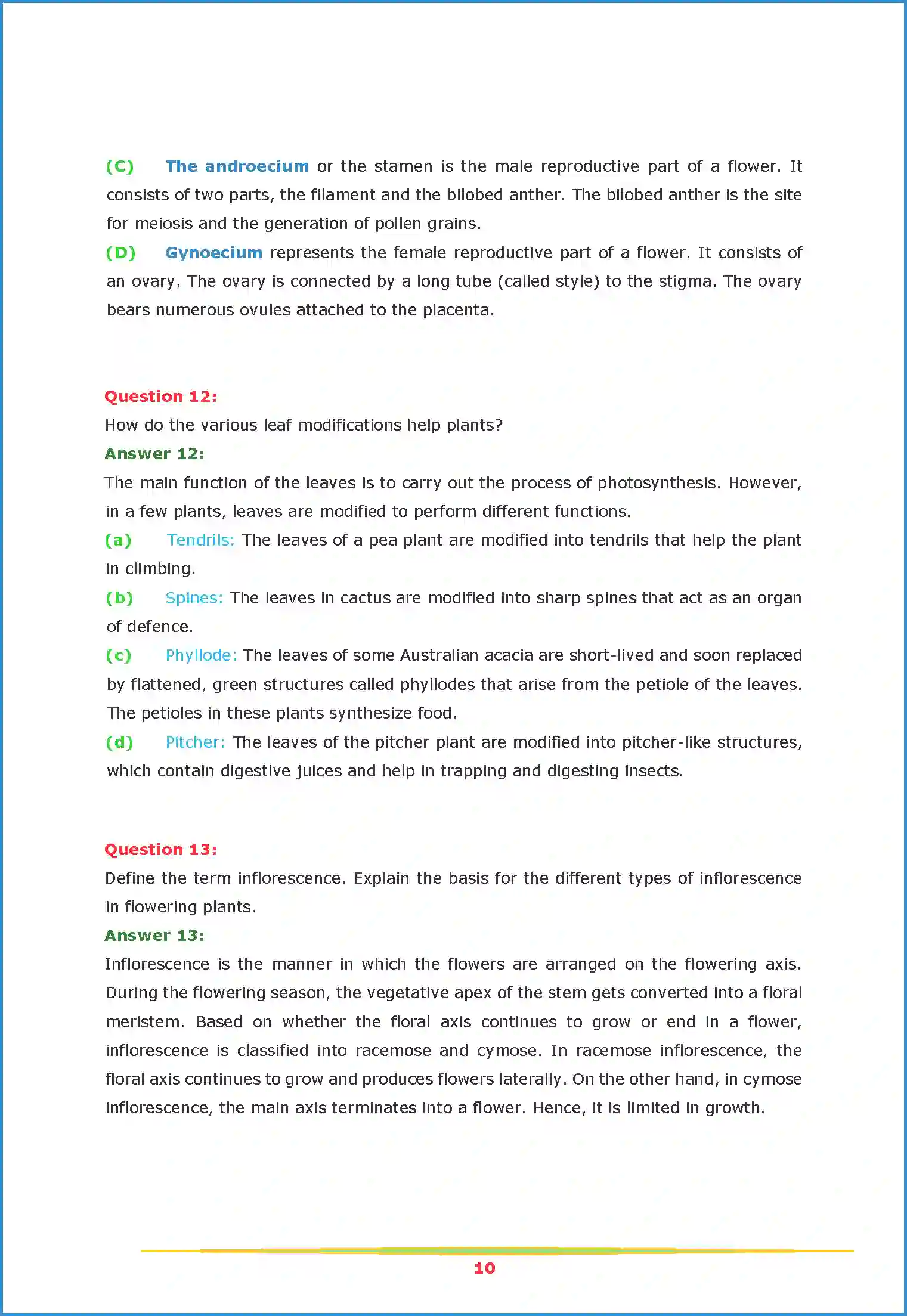 NCERT-Solution-Class-11-Biology-Chapter-5-Morphology-of-Flowering-Plants-443-page-10