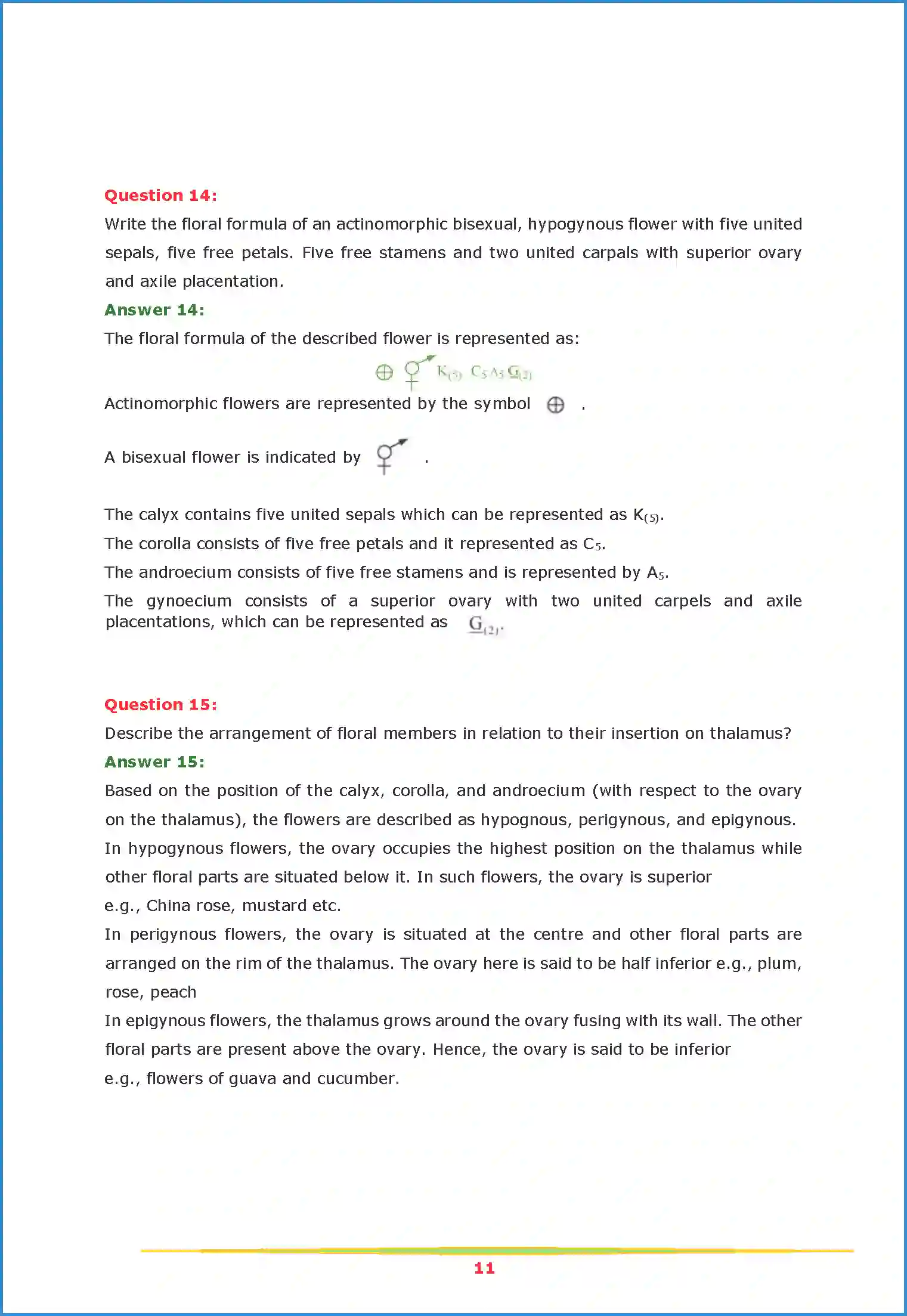 NCERT-Solution-Class-11-Biology-Chapter-5-Morphology-of-Flowering-Plants-443-page-11