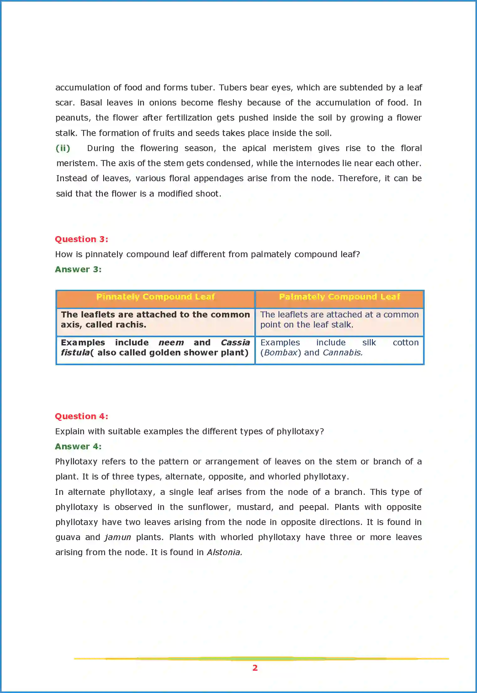 NCERT-Solution-Class-11-Biology-Chapter-5-Morphology-of-Flowering-Plants-443-page-2
