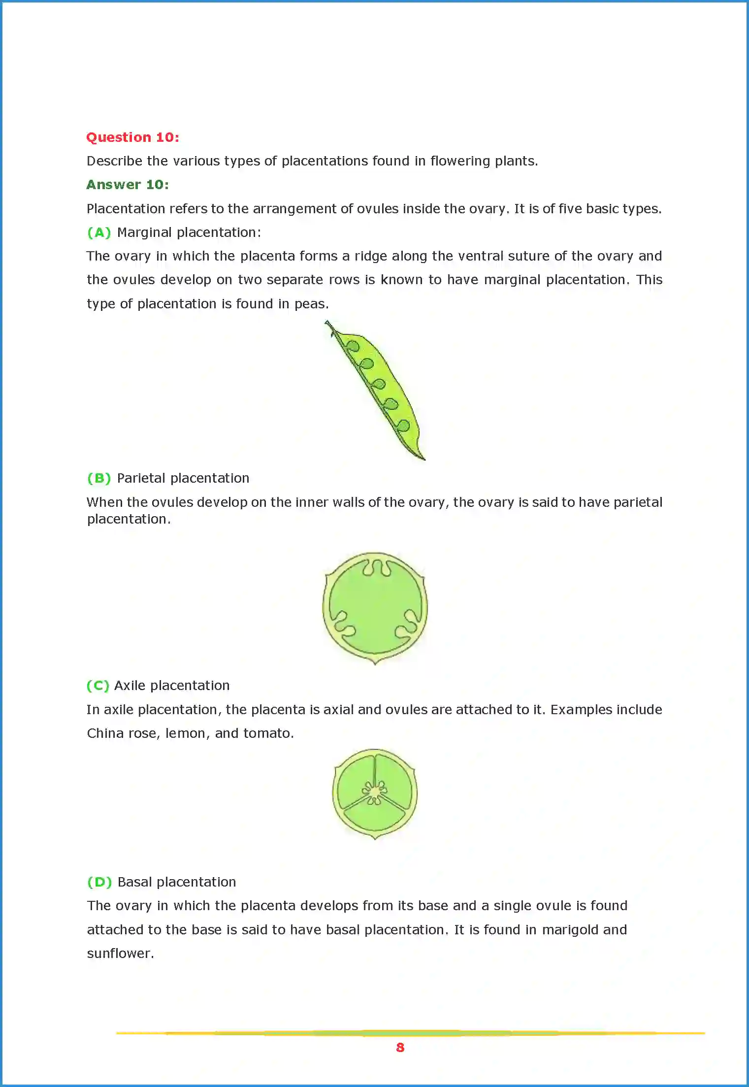 NCERT-Solution-Class-11-Biology-Chapter-5-Morphology-of-Flowering-Plants-443-page-8