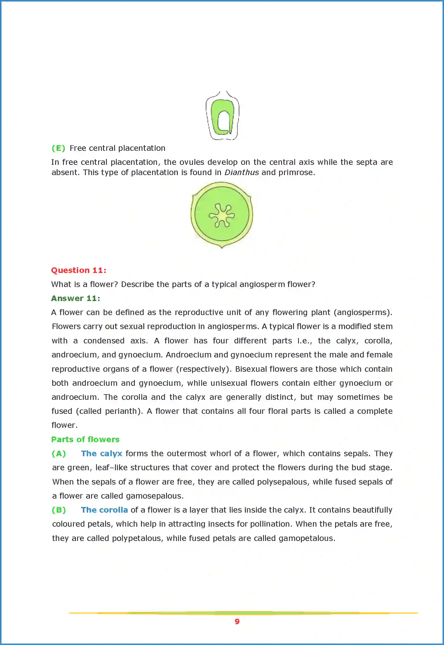 NCERT-Solution-Class-11-Biology-Chapter-5-Morphology-of-Flowering-Plants-443-page-9