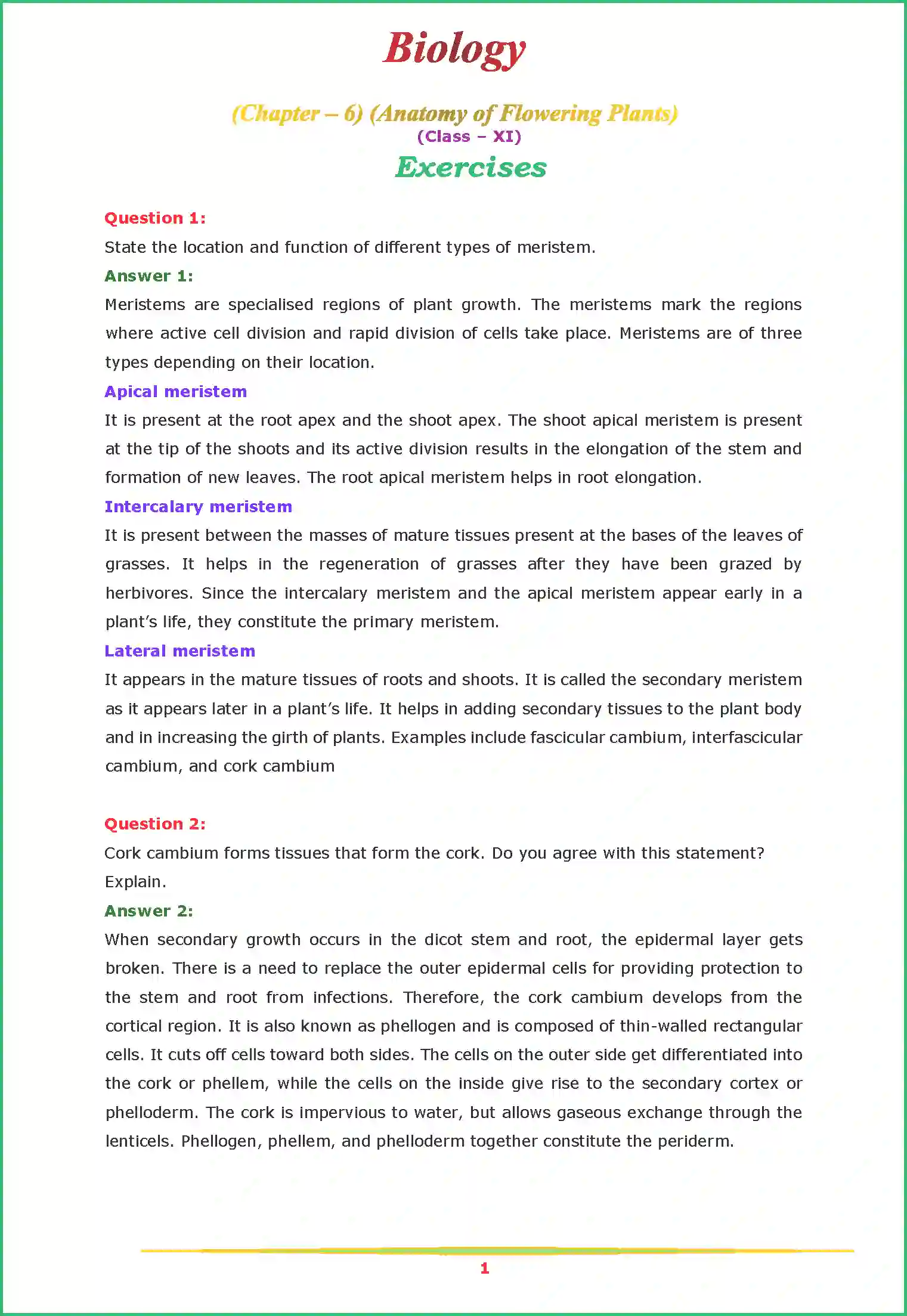 NCERT-Solution-Class-11-Biology-Chapter-6-Anatomy-of-Flowering-Plants-2616-page-1