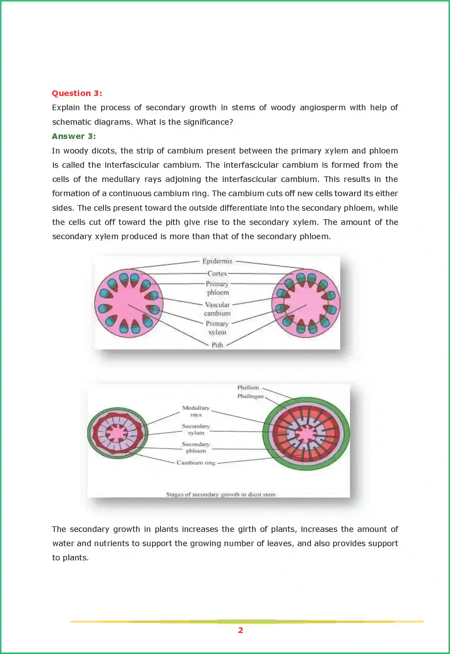 NCERT-Solution-Class-11-Biology-Chapter-6-Anatomy-of-Flowering-Plants-444-page-2