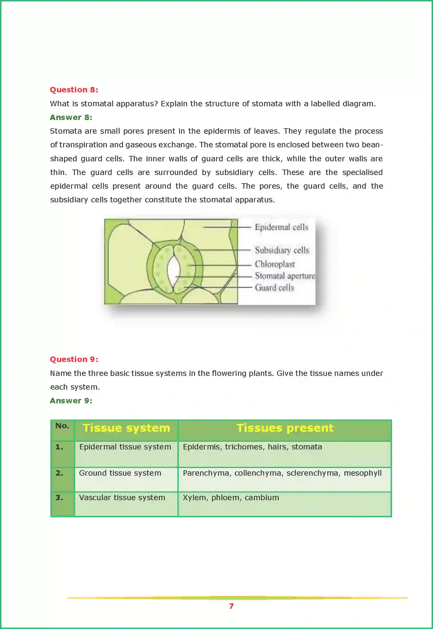 NCERT-Solution-Class-11-Biology-Chapter-6-Anatomy-of-Flowering-Plants-444-page-7